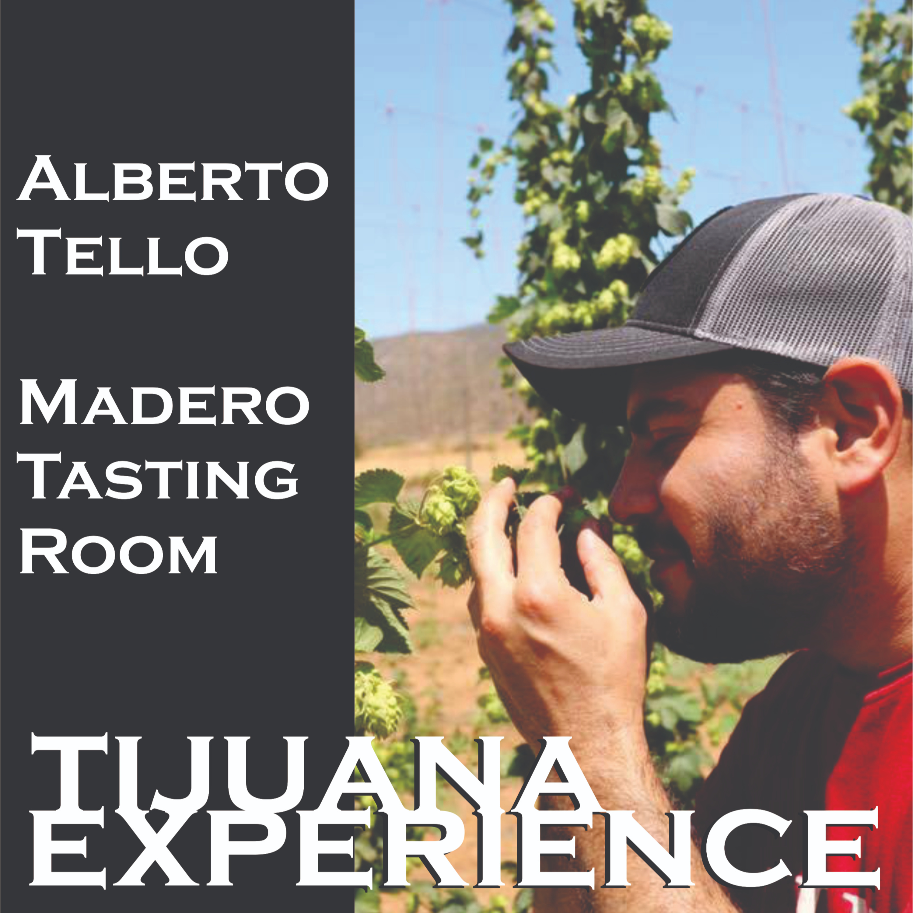 Tijuana Experience