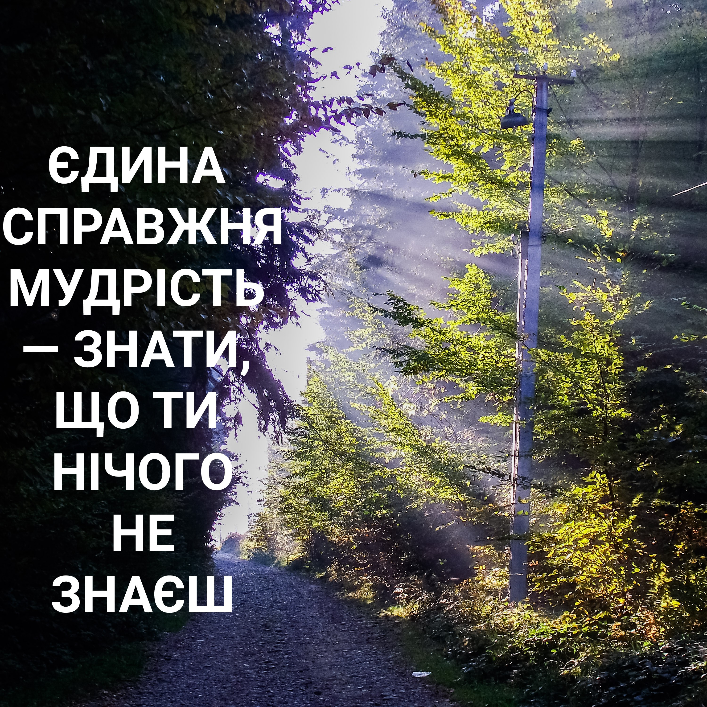 Часточки episode artwork