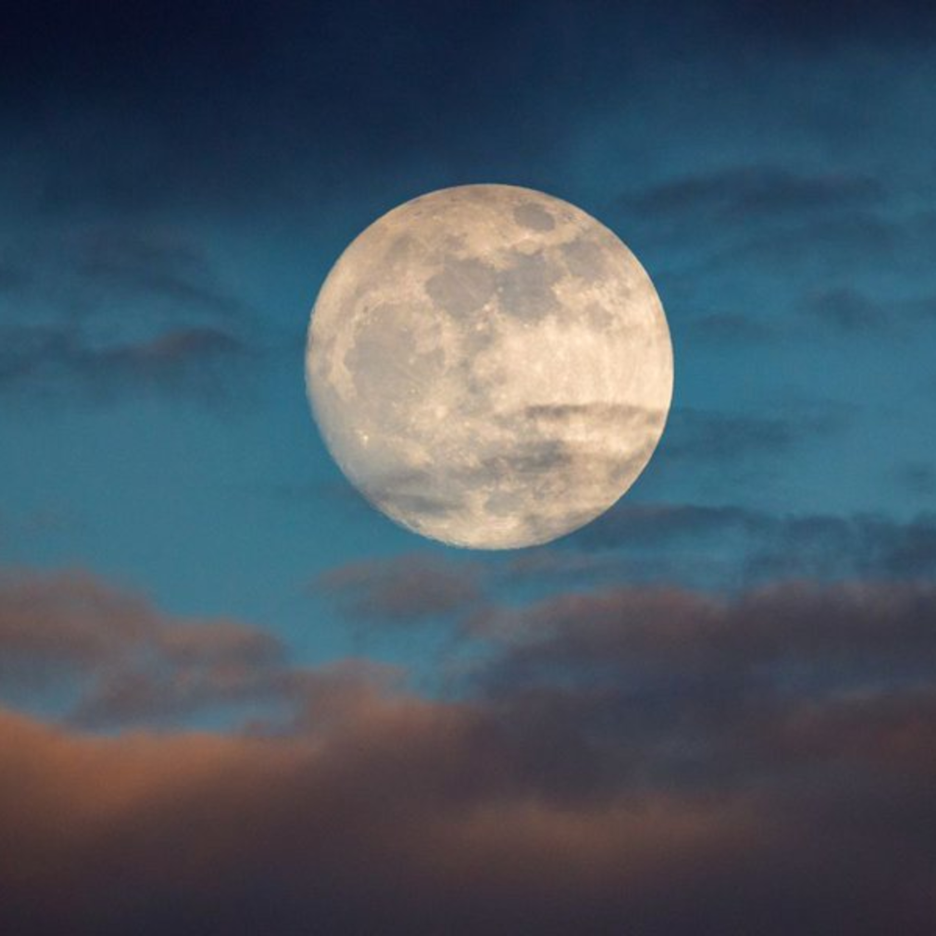 Потоп. Ной строит ковчег.