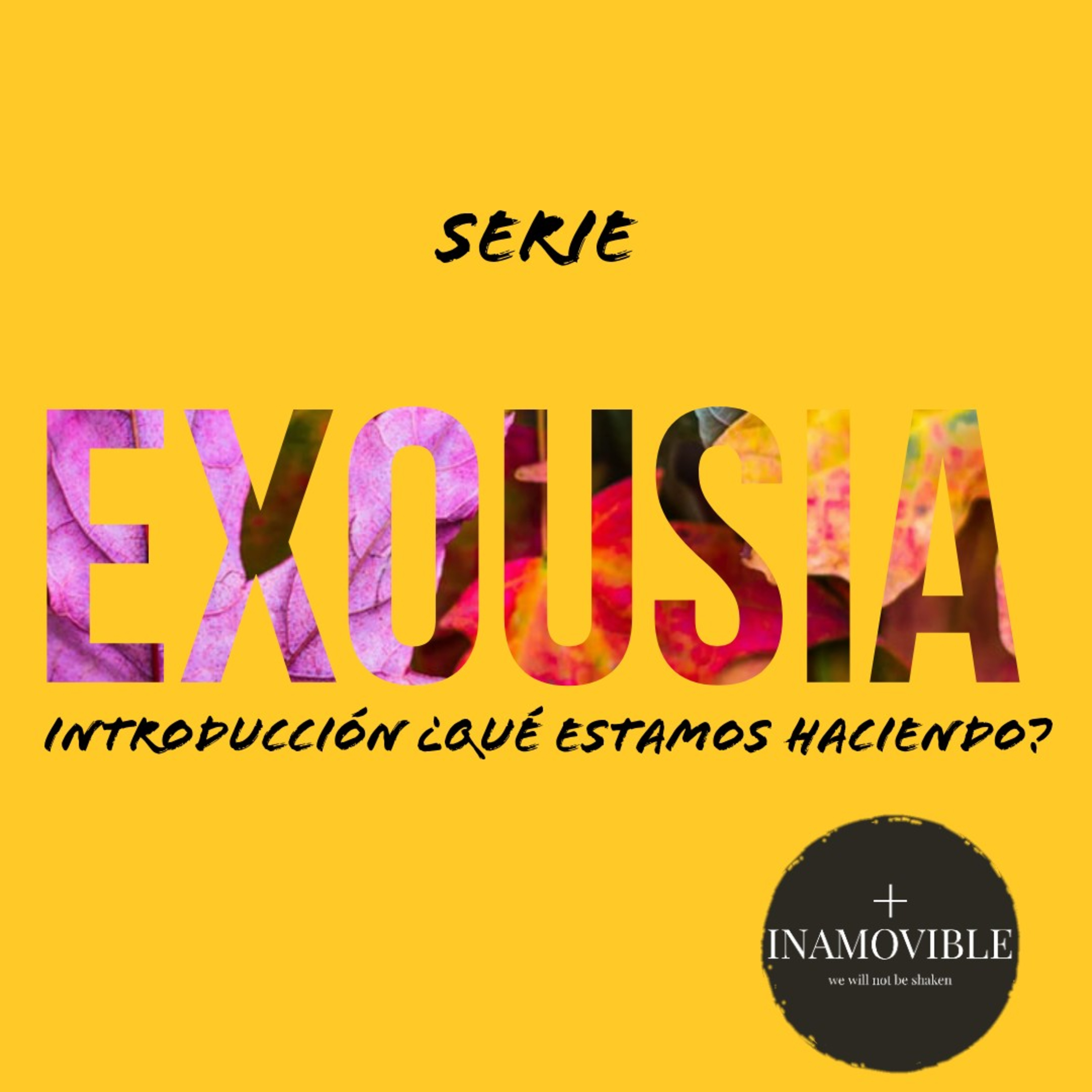 Inamovible+