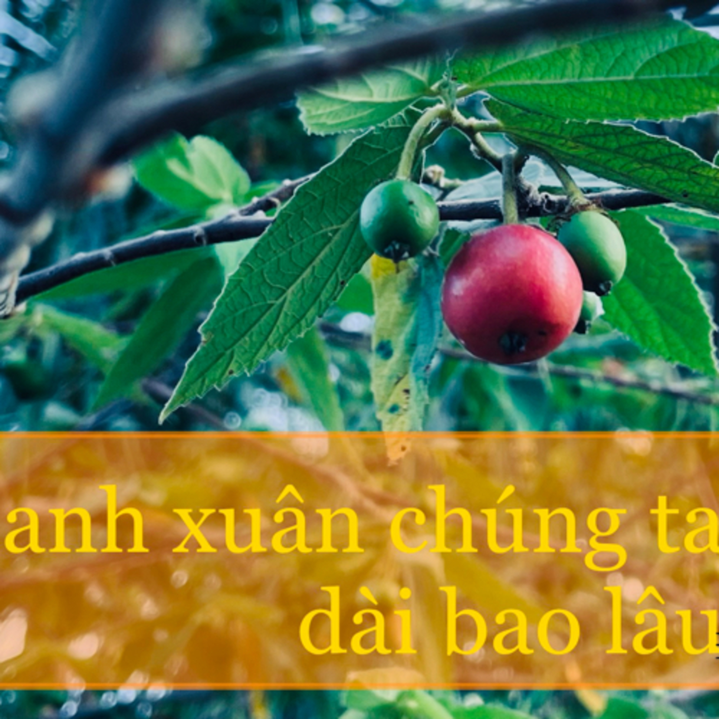 Đạt La Cà Podcast - Người Gieo Duyên Lành