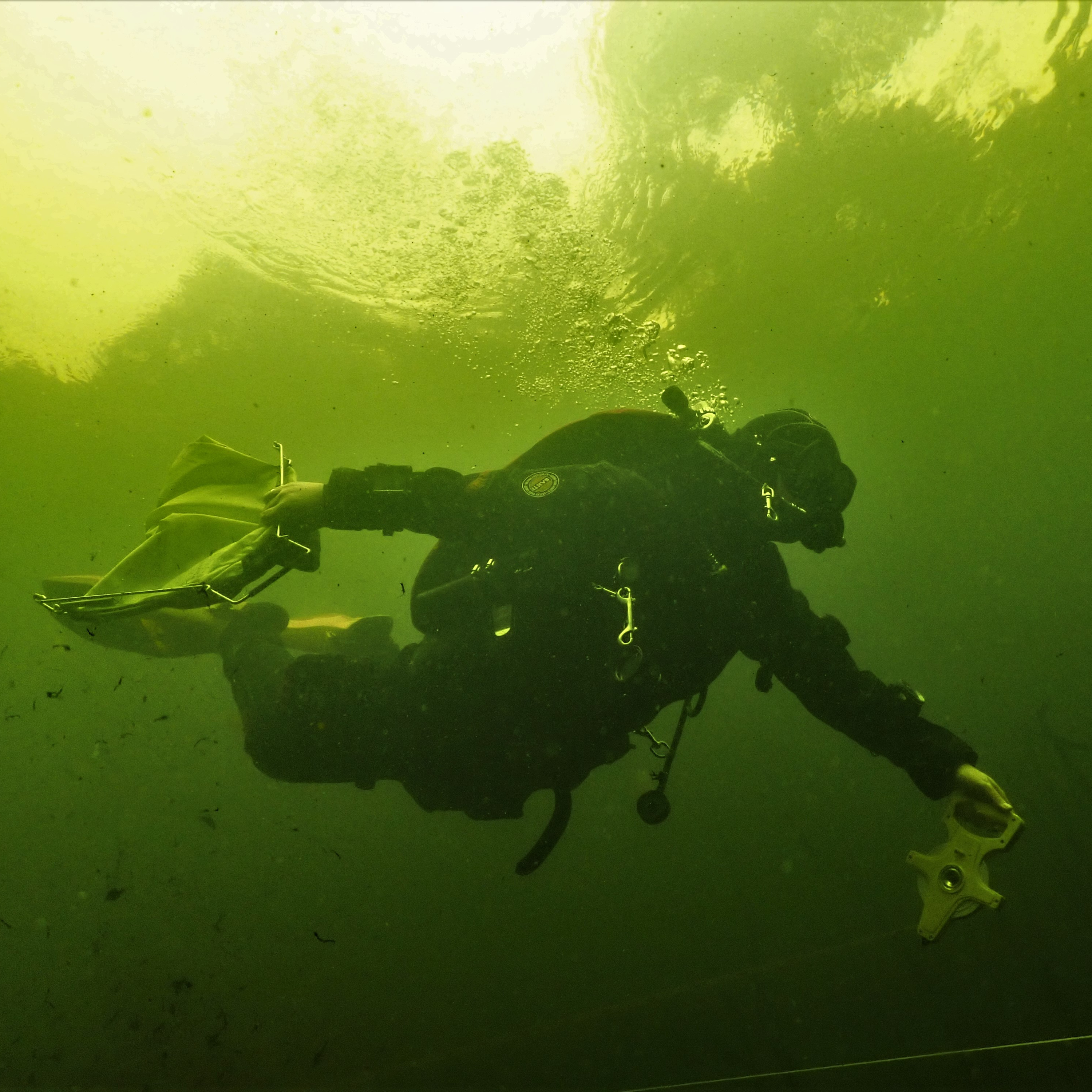 Freshwater Mussels and Aotearoa Lakes w/ Ebi and Maddison