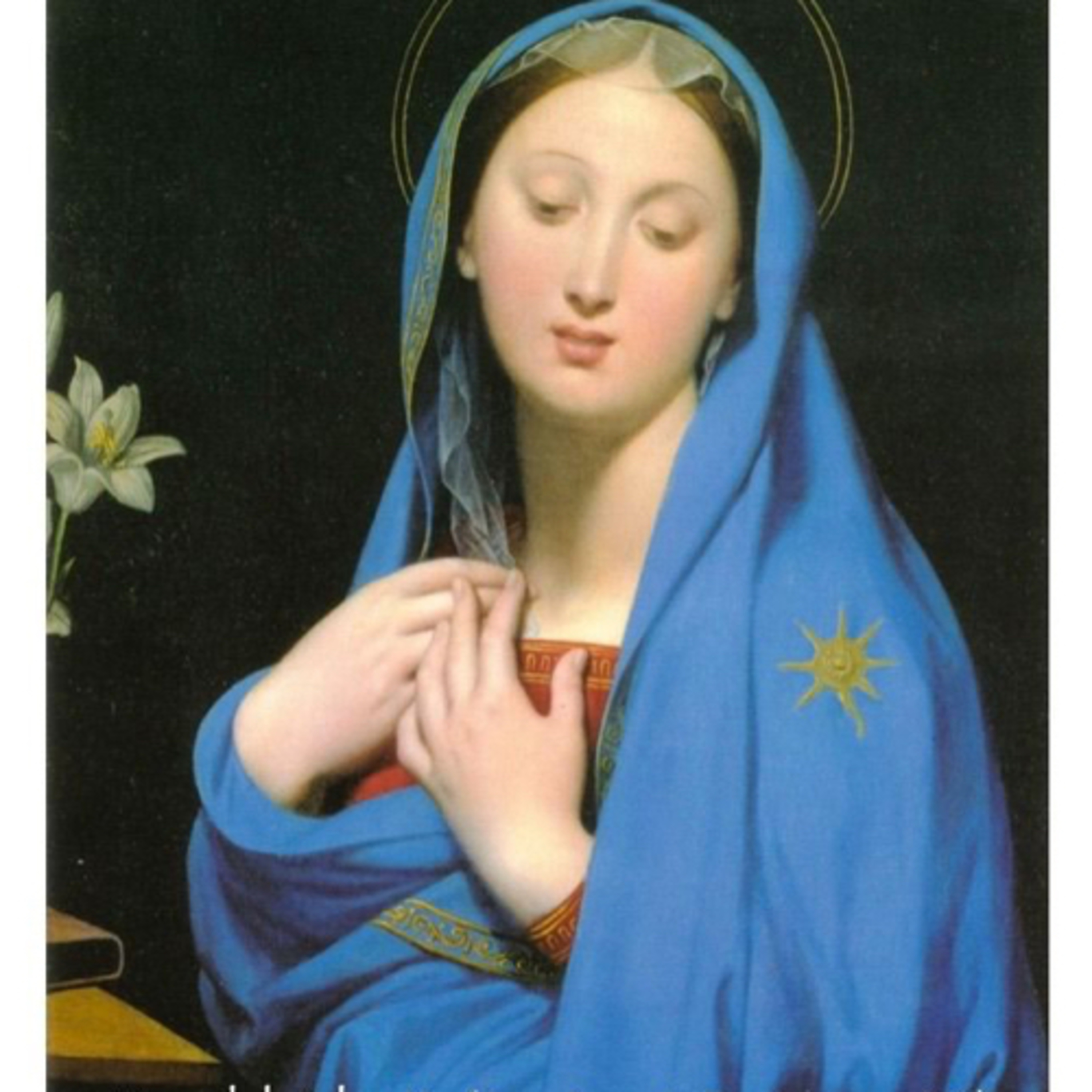 Portada de La Compañía de María, Madre de los Sacerdotes