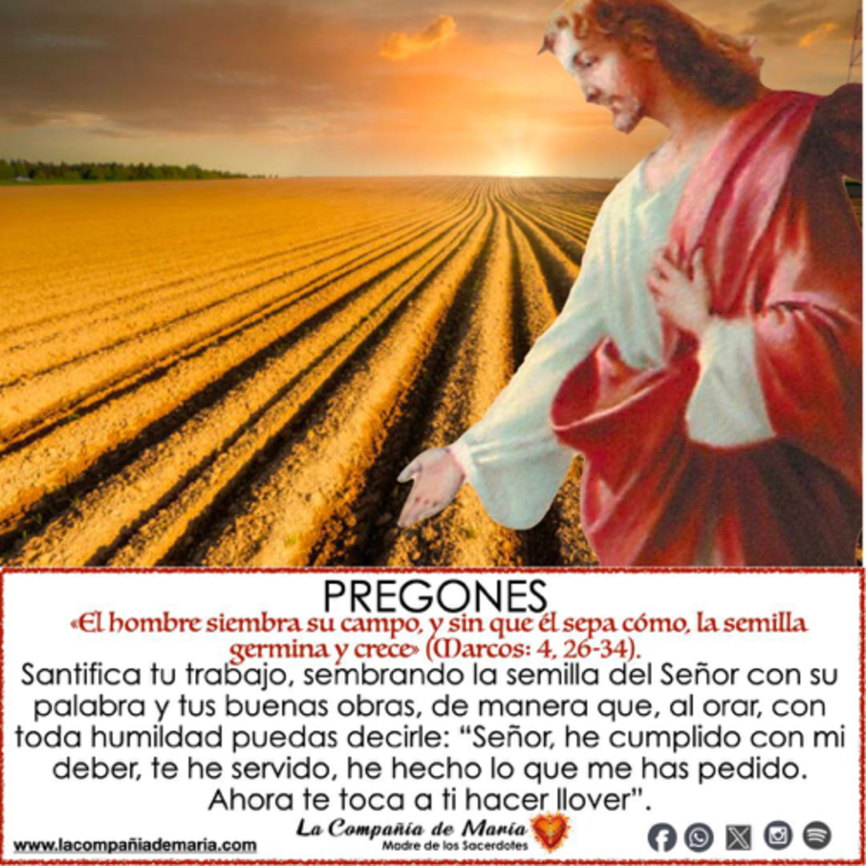 Portada de La Compañía de María, Madre de los Sacerdotes