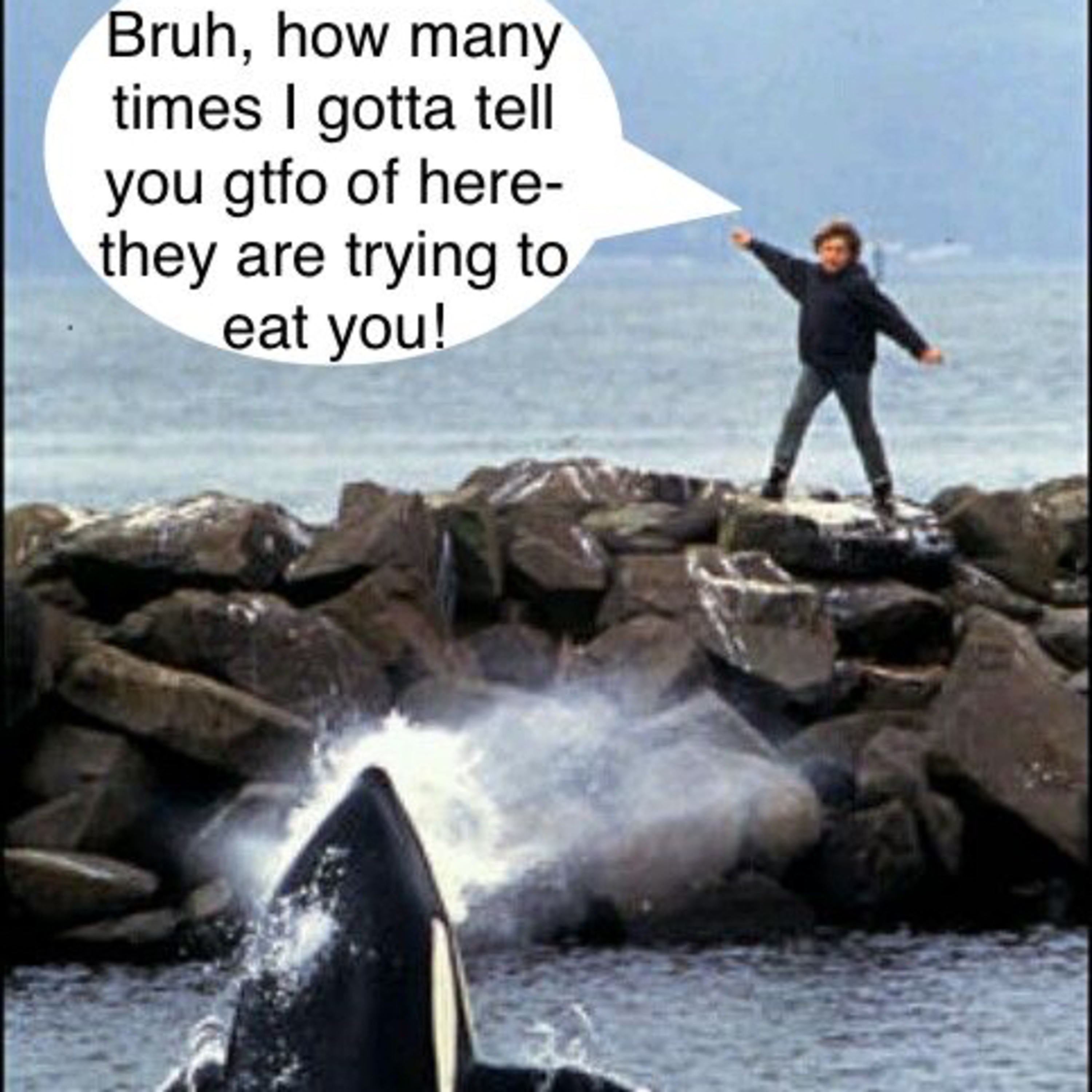 Episode 52: Do we free Willy or blame fate?