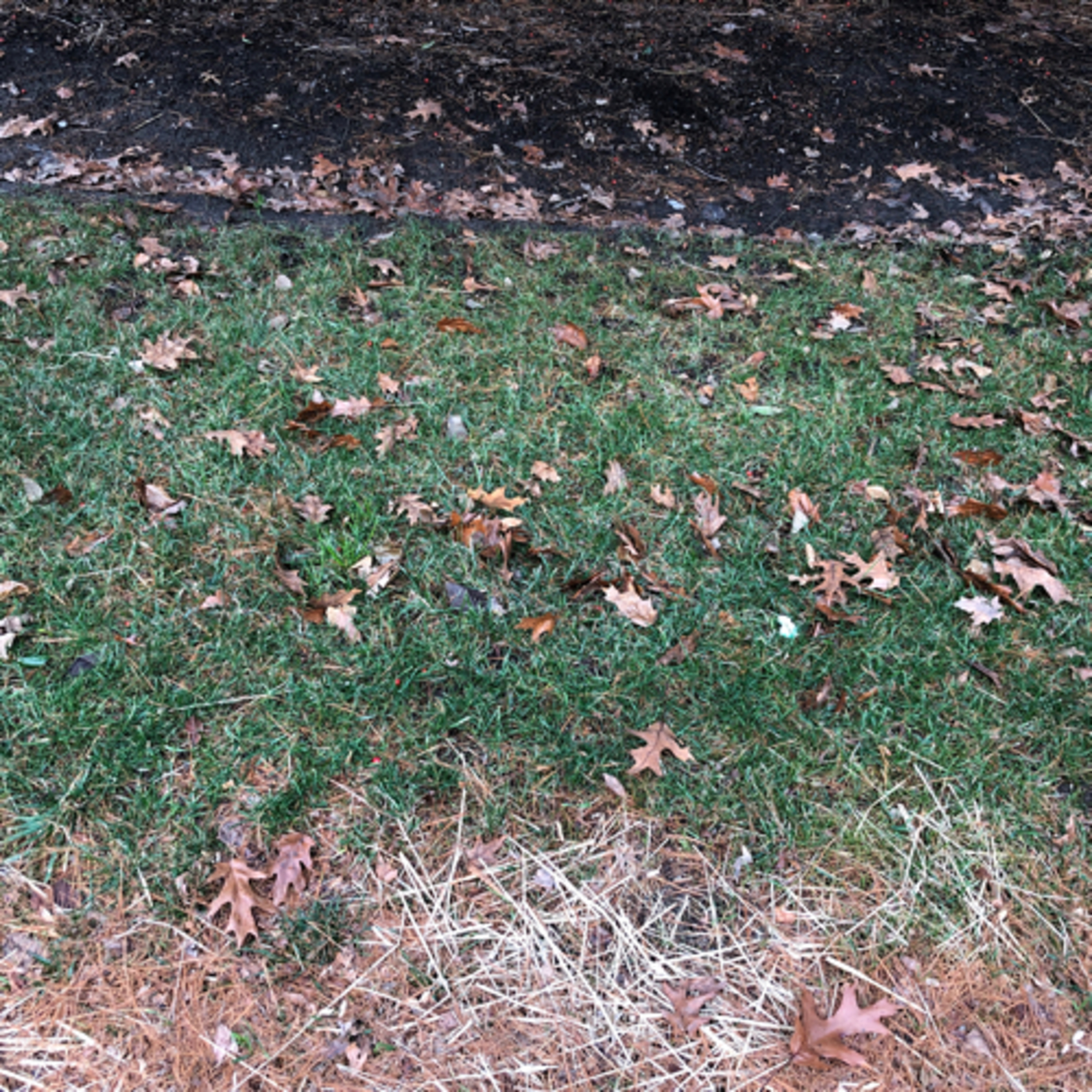 Justin Finkelstein Talks