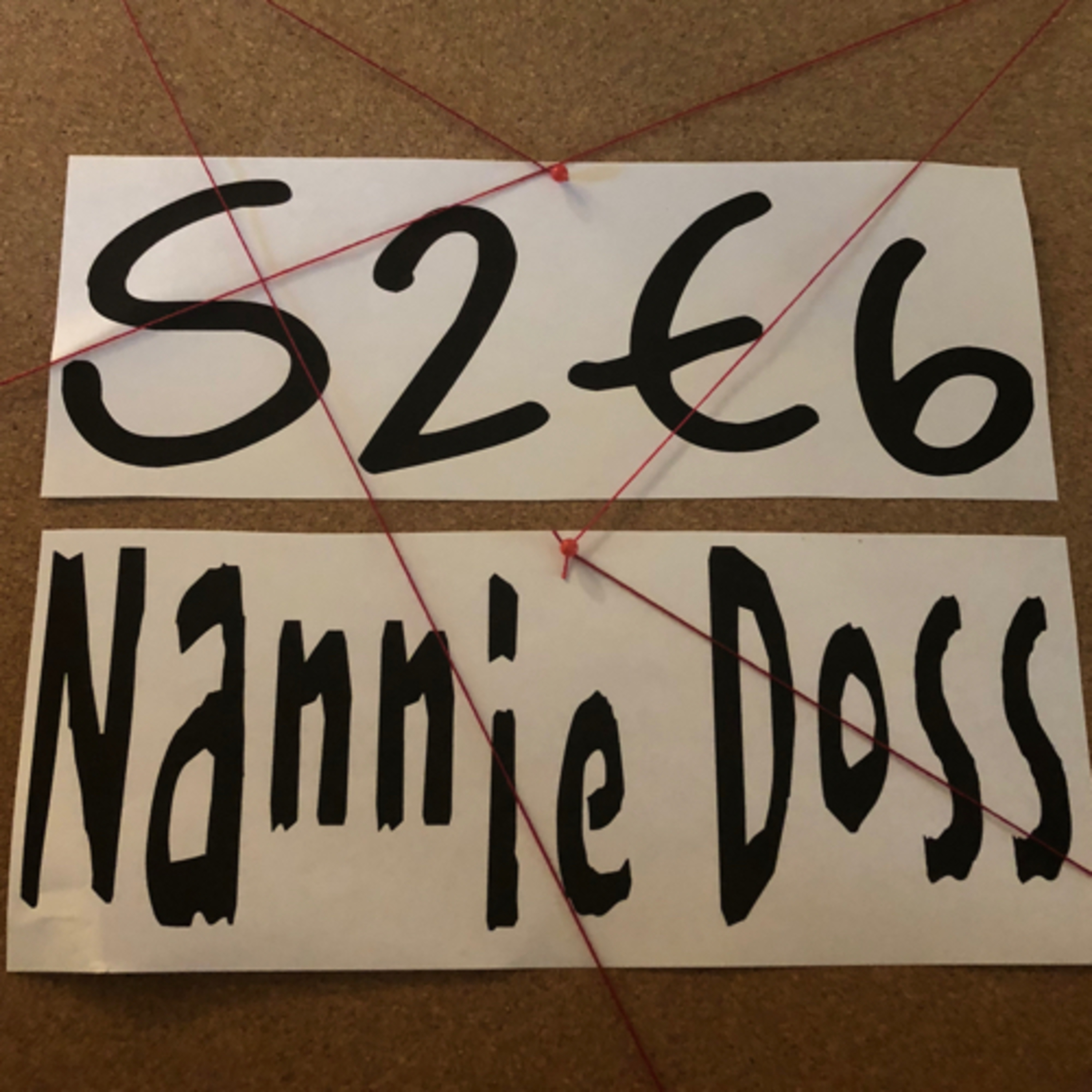 Nannie Doss Pt. 2 | S2E6