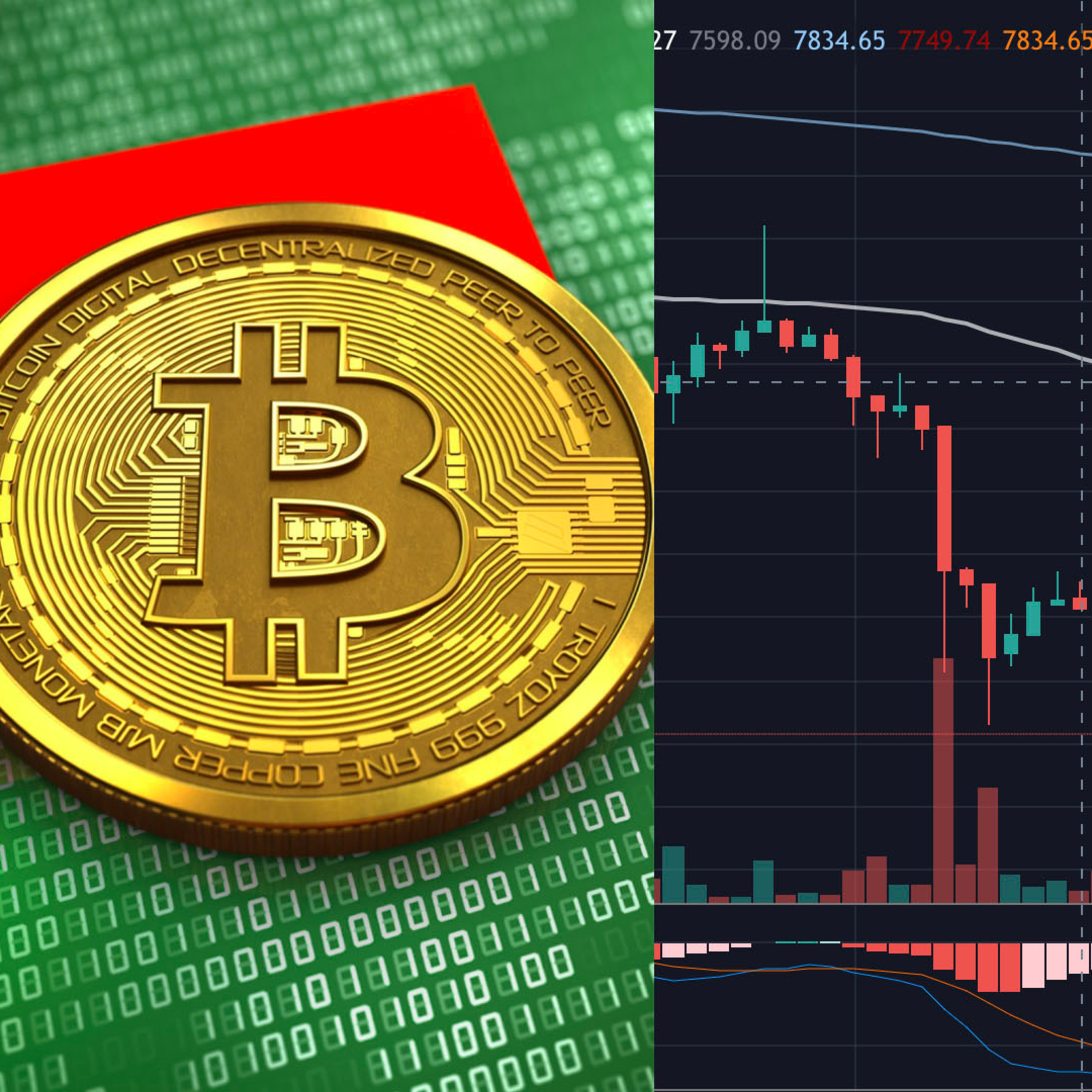 Bitcoin out of the Box