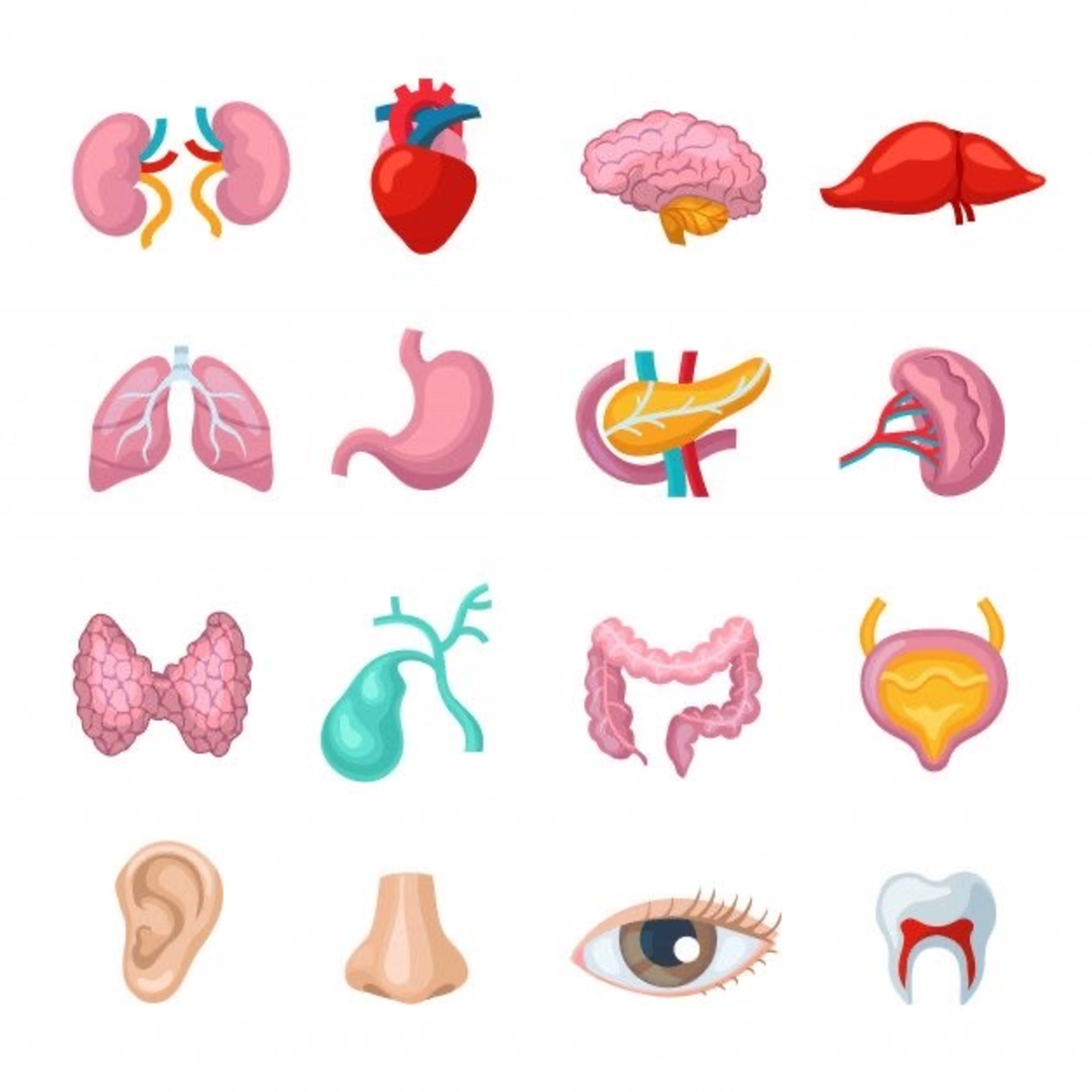 Ginecologia #7 Contraindicações para os métodos contraceptivos hormonais combinados episode artwork
