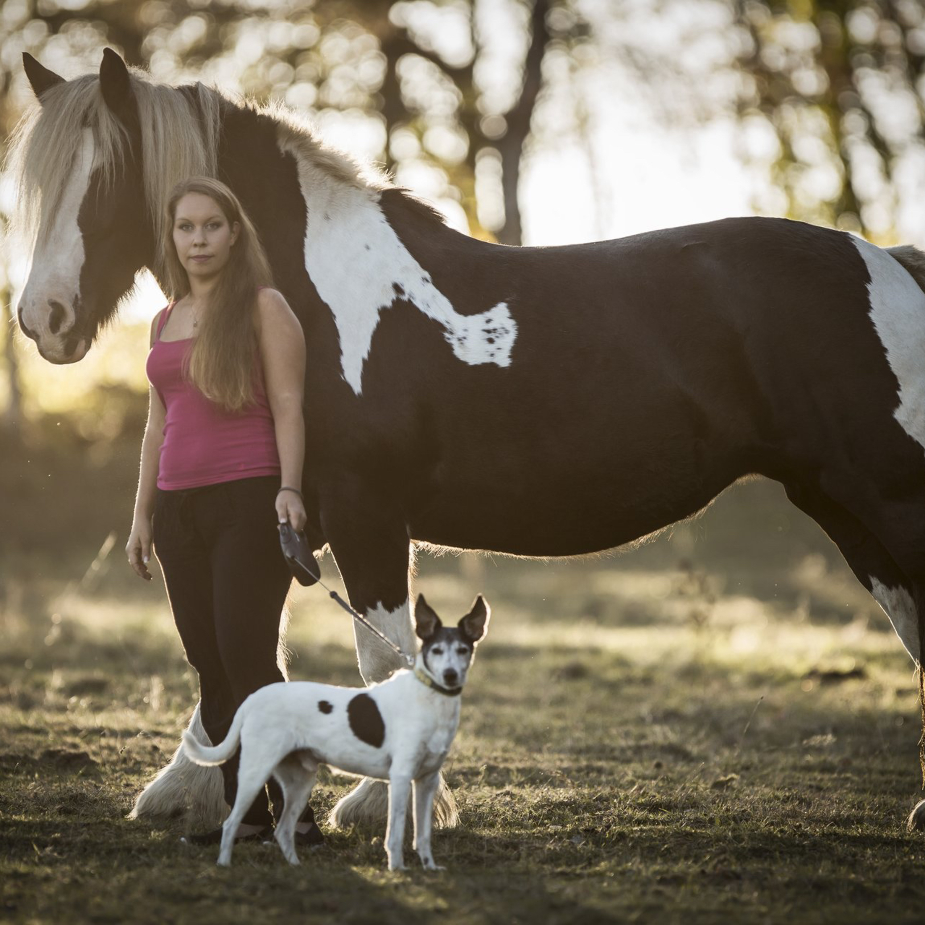 Magic Animal Moments