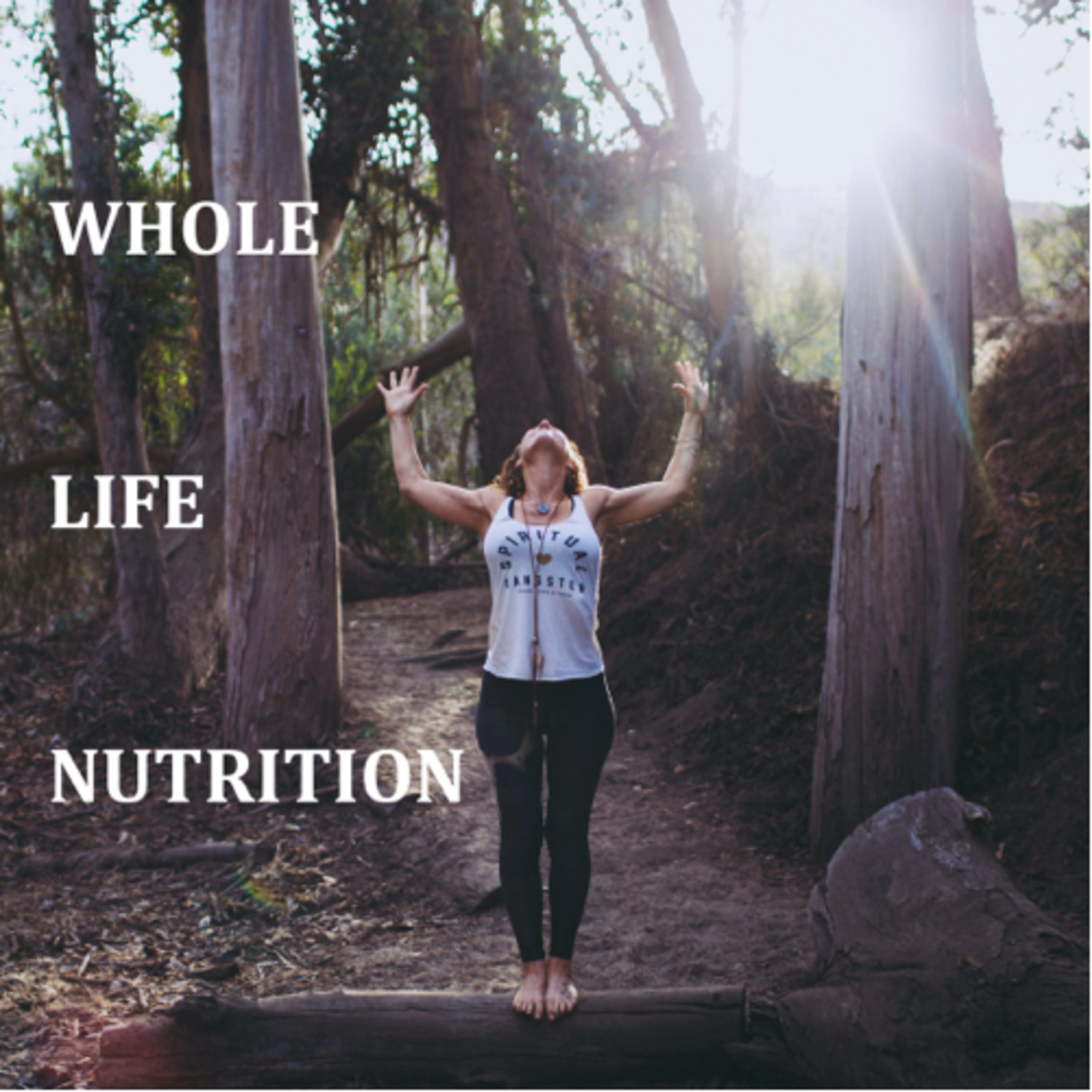 Whole Life Nutrition and You: Brainstorming becomes reality Episode!  episode artwork