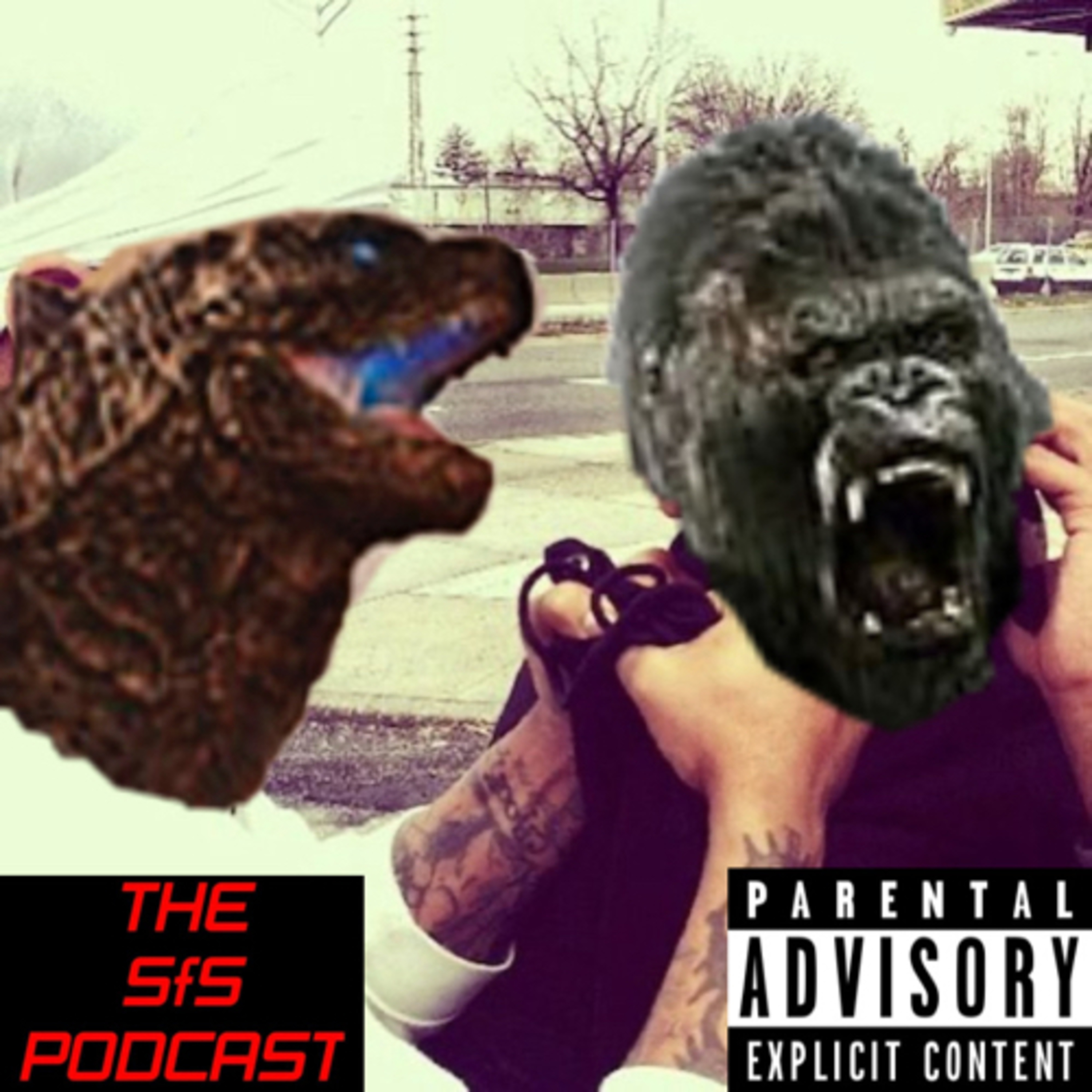 The Struggle For Success Network