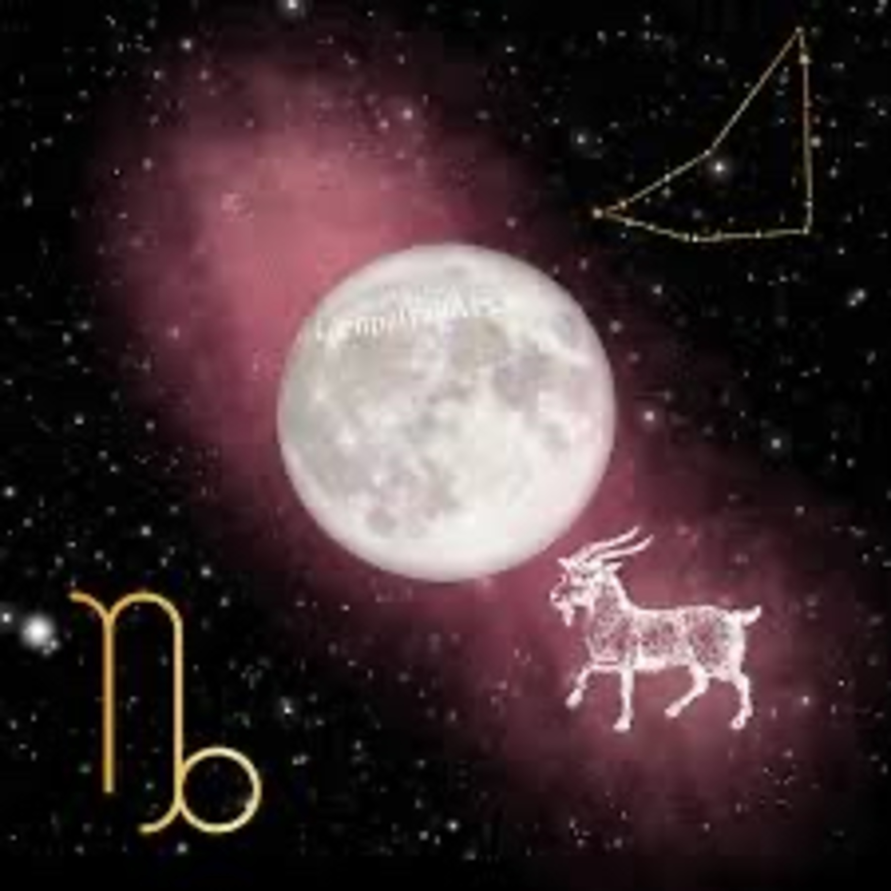 Rise Tarot: Intuitive Astrology for the Collective + Conscious Soul