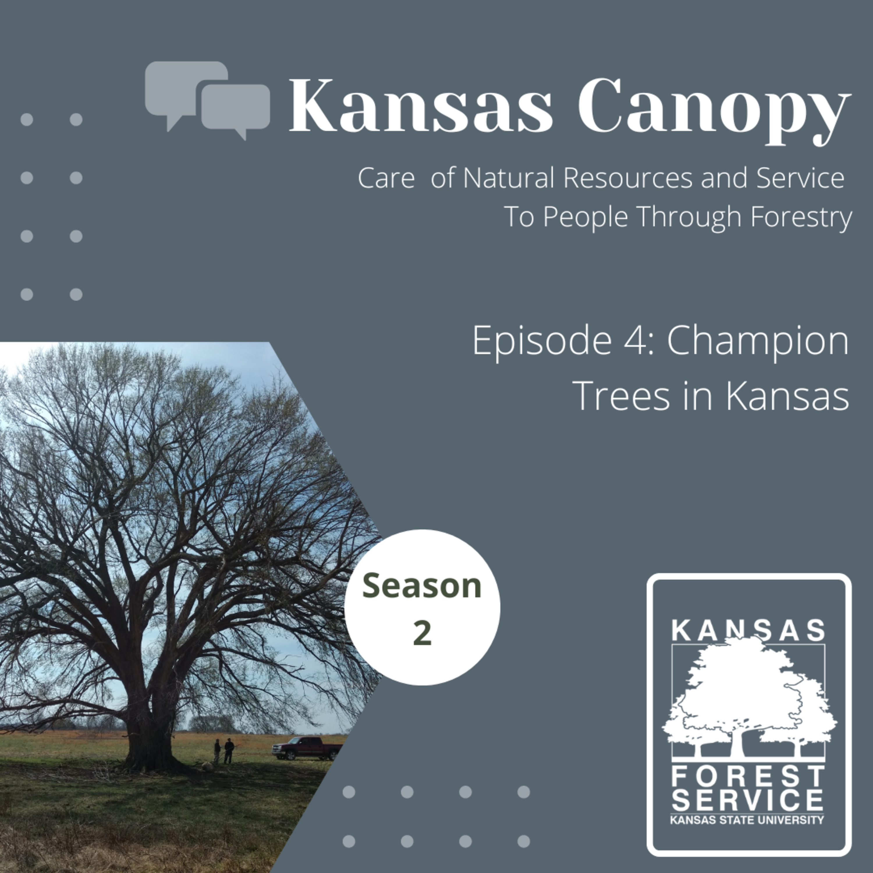 Kansas Canopy