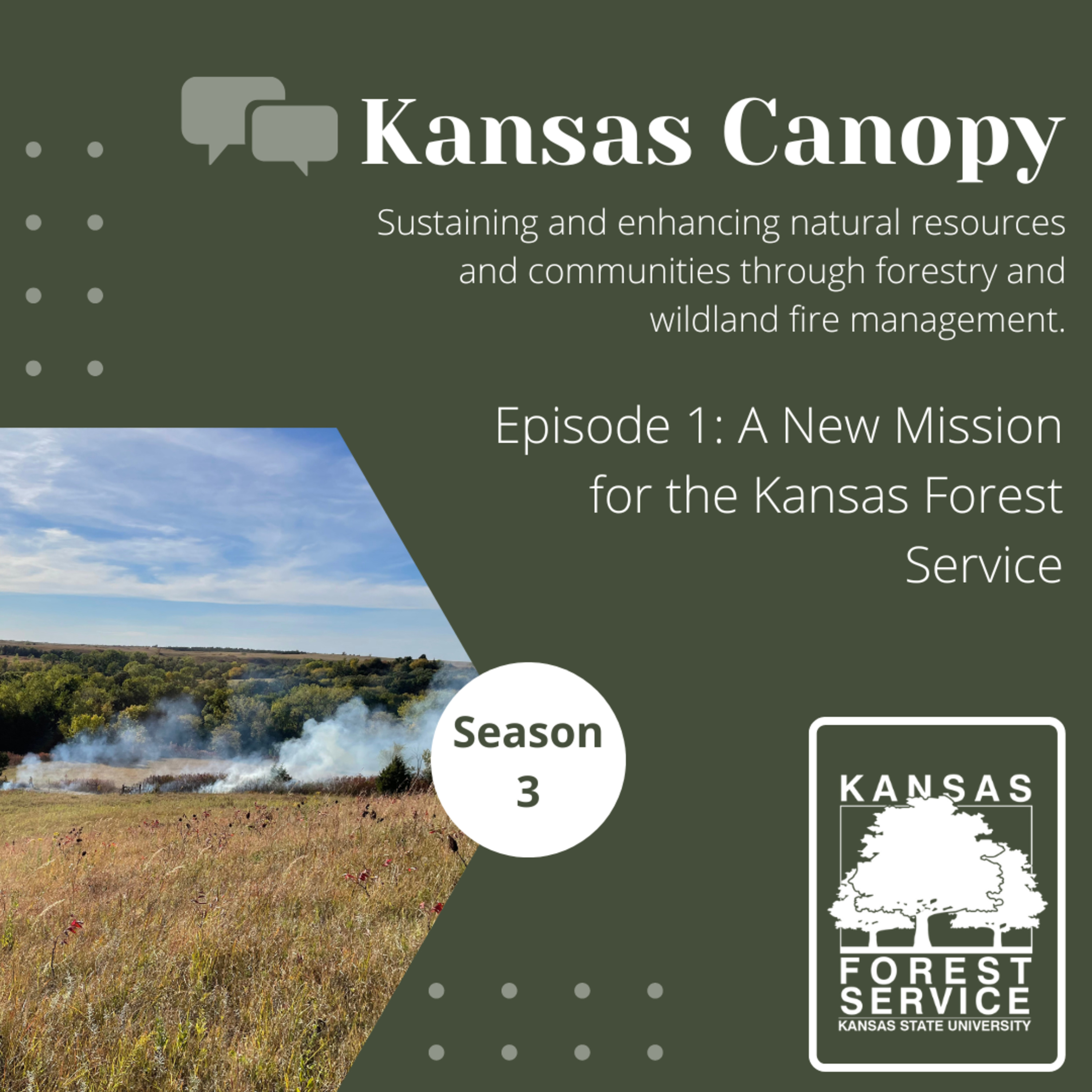 Kansas Canopy