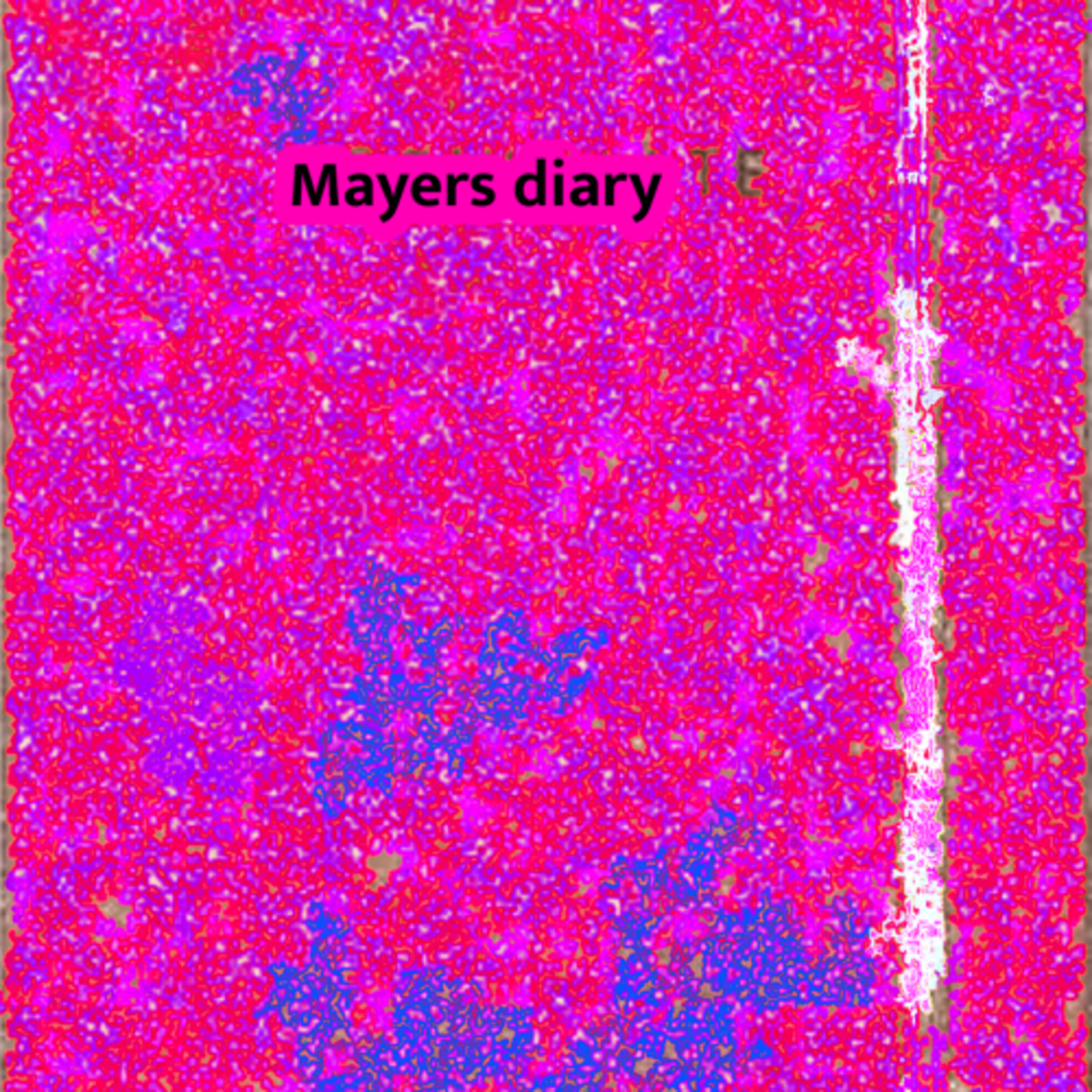 cover of episode Episode one of Mayers diary