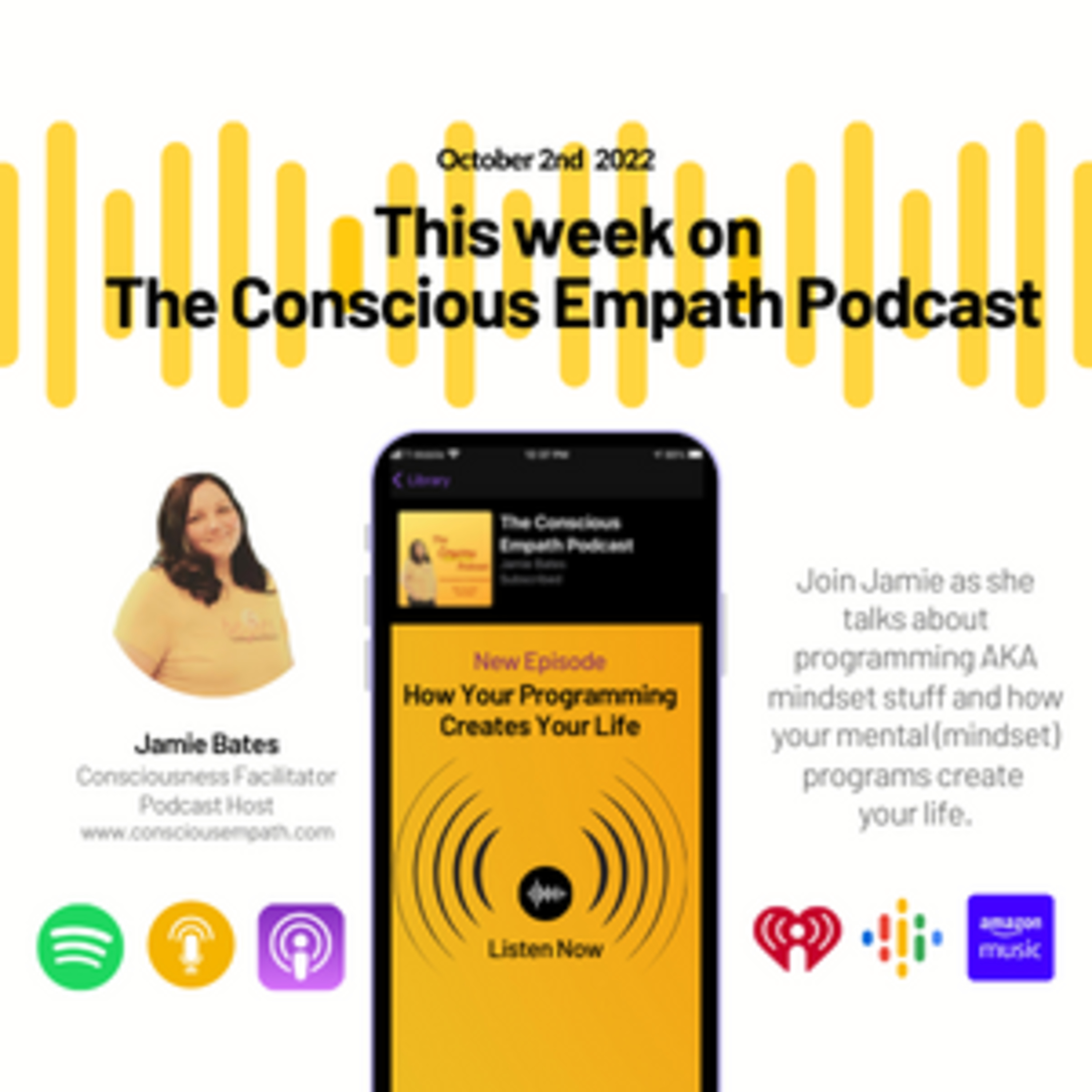 How Your Programming Creates Your Life episode artwork