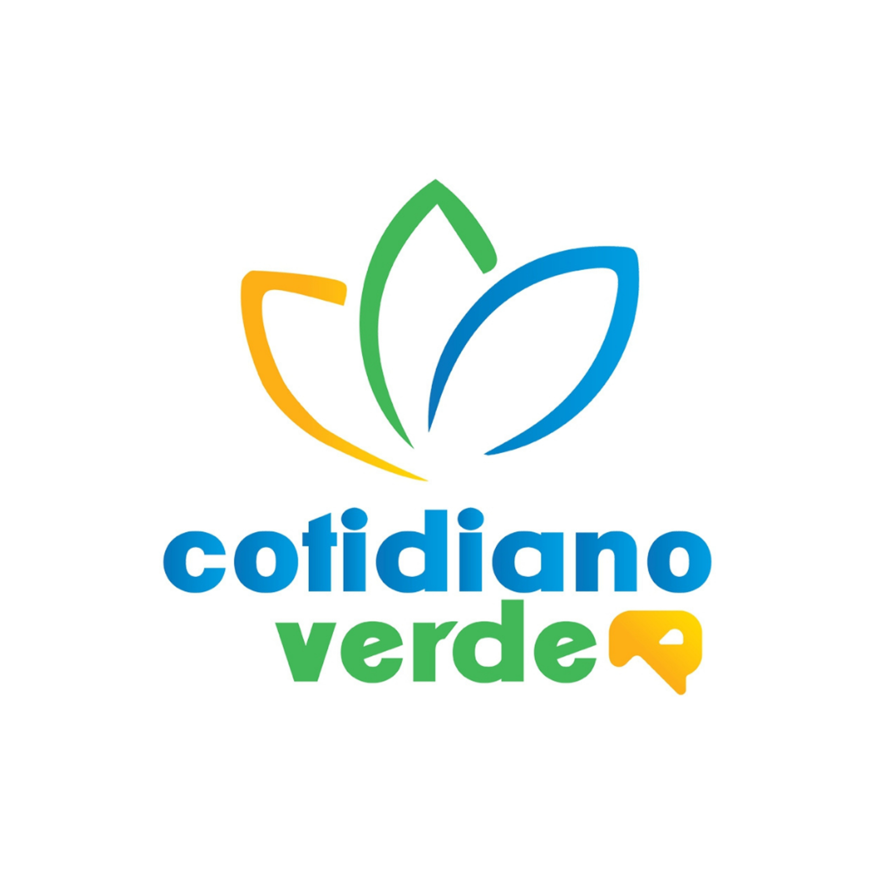 Radio Cidade em Dia