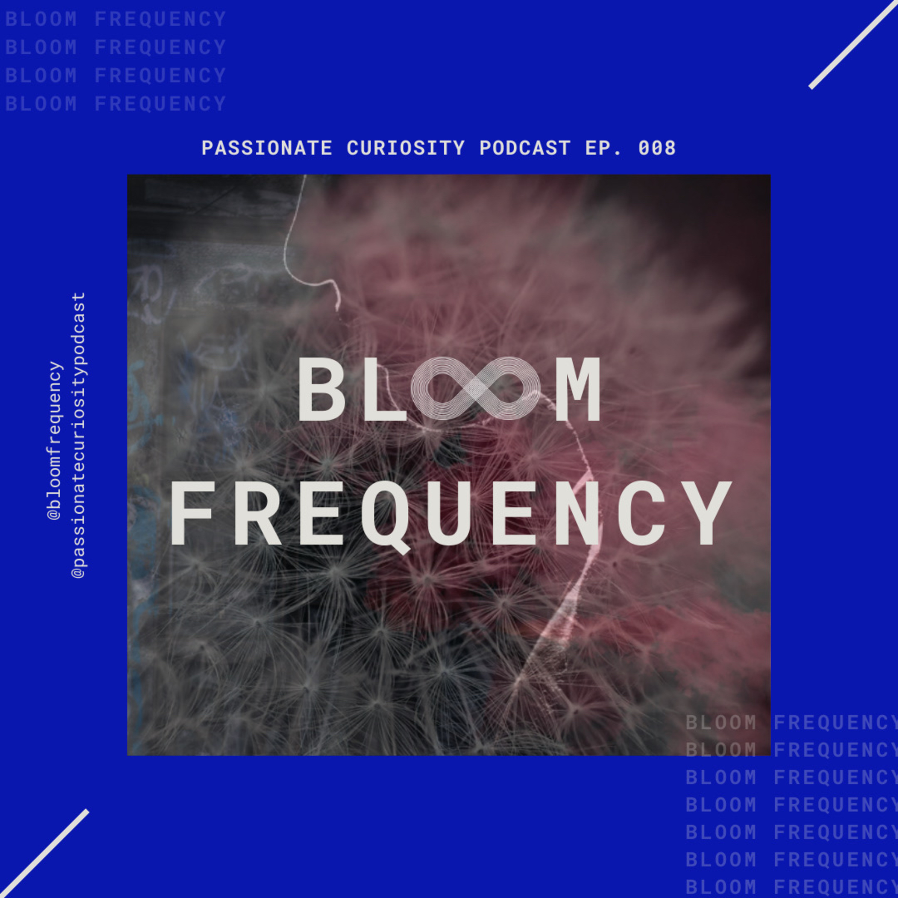 Bloom Frequency Podcast