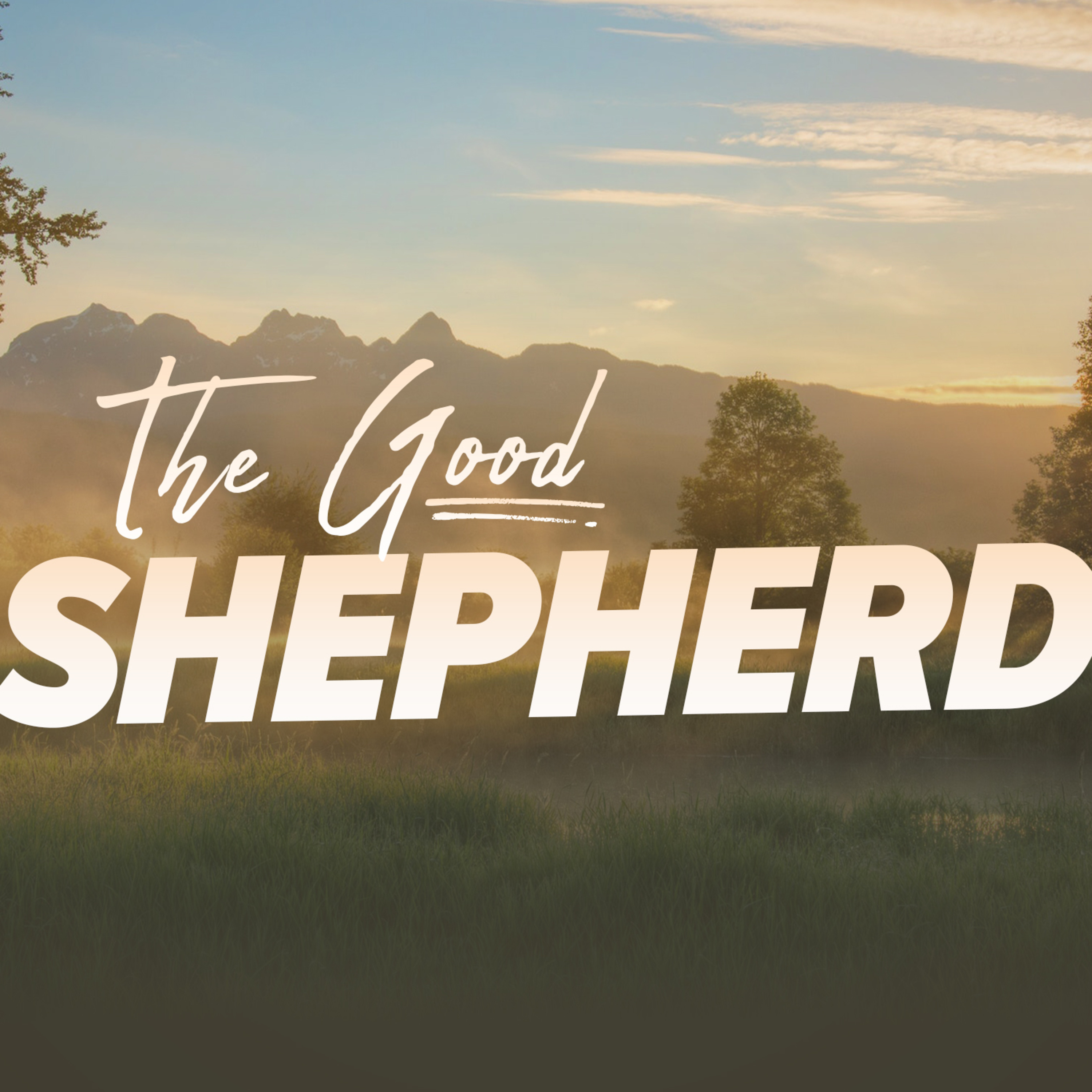 The Good Shepherd (Josh Taylor) - 8 January 2023 episode artwork