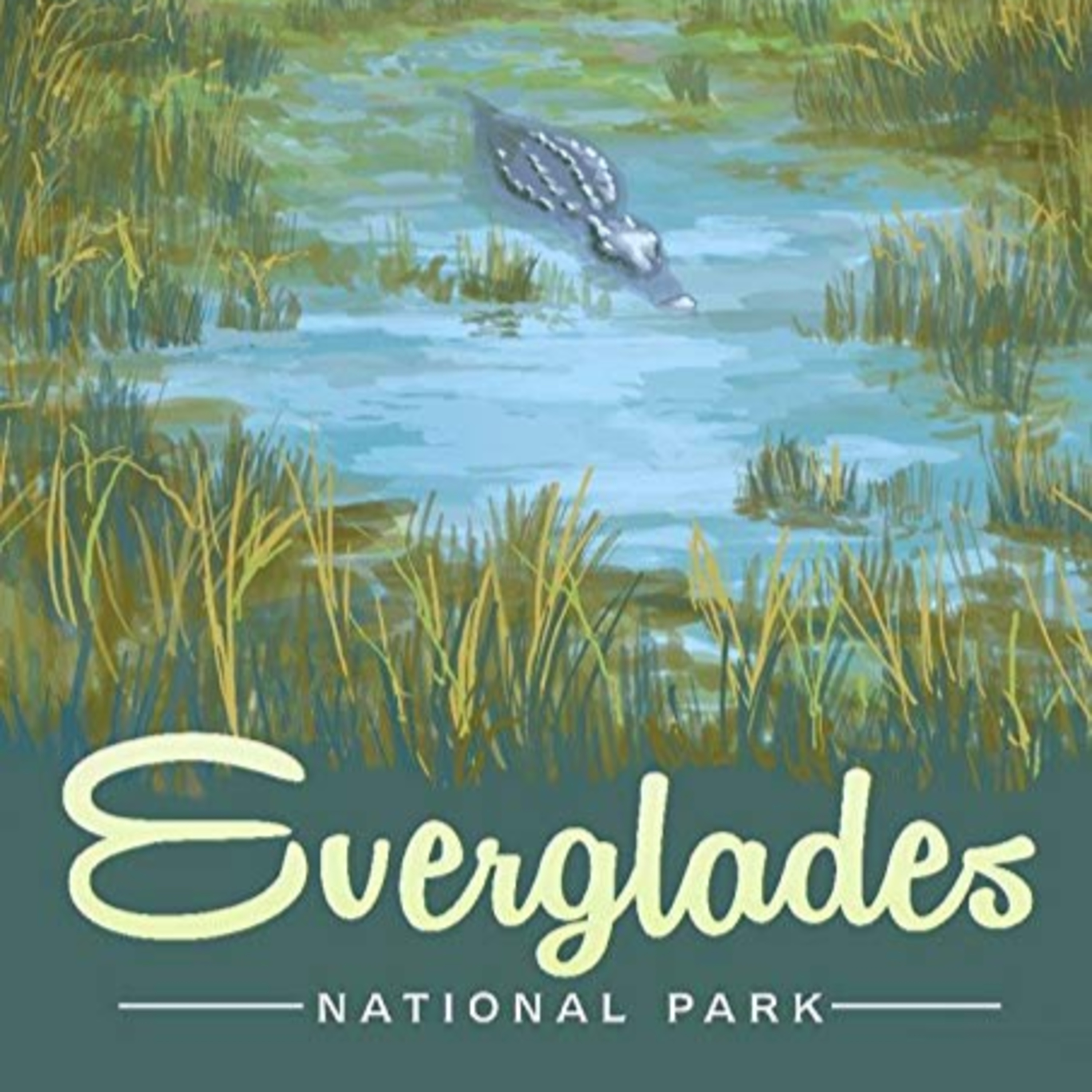 Saltwater Intrusion in Everglades National Park