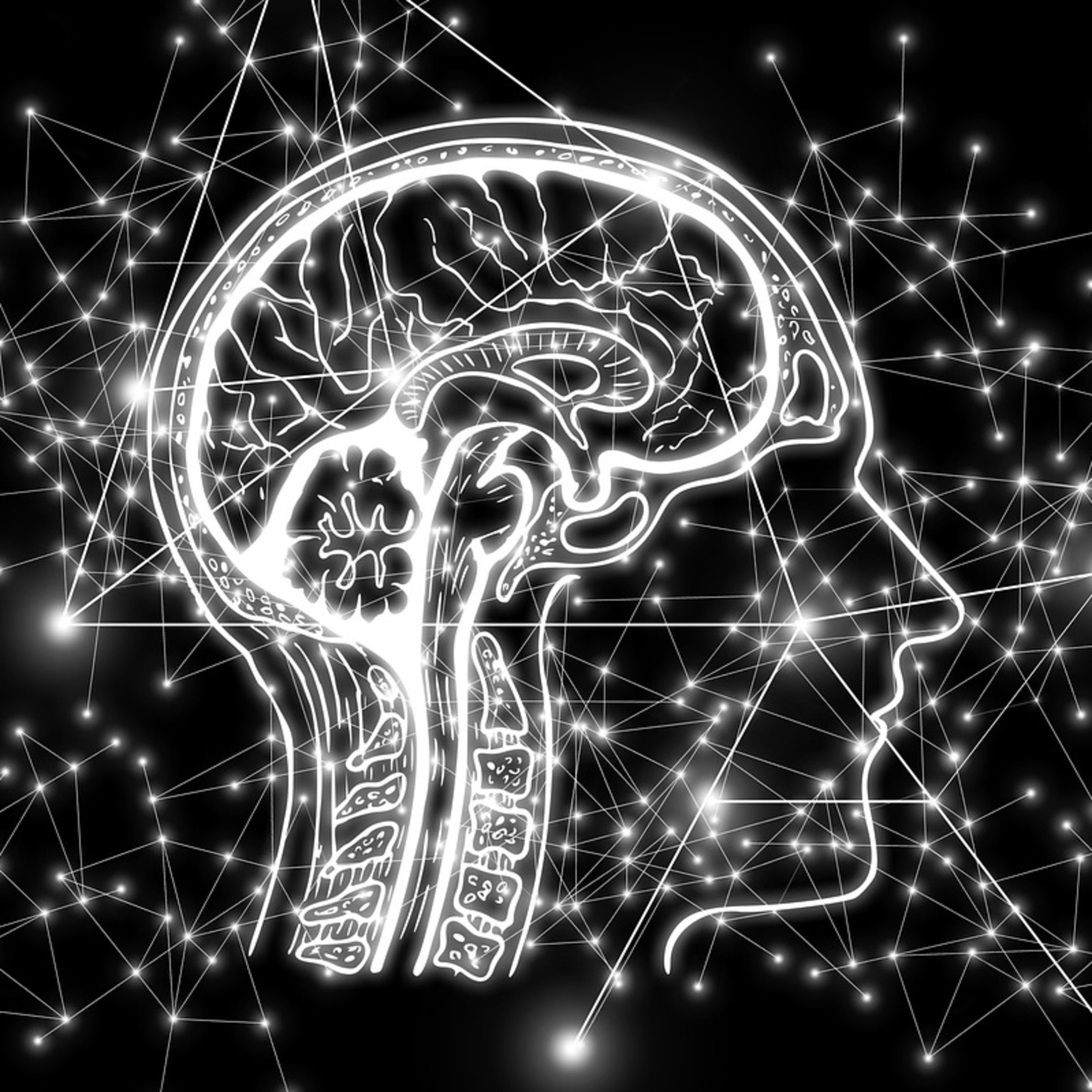 Como a inteligência artificial está mudando a forma como vivemos