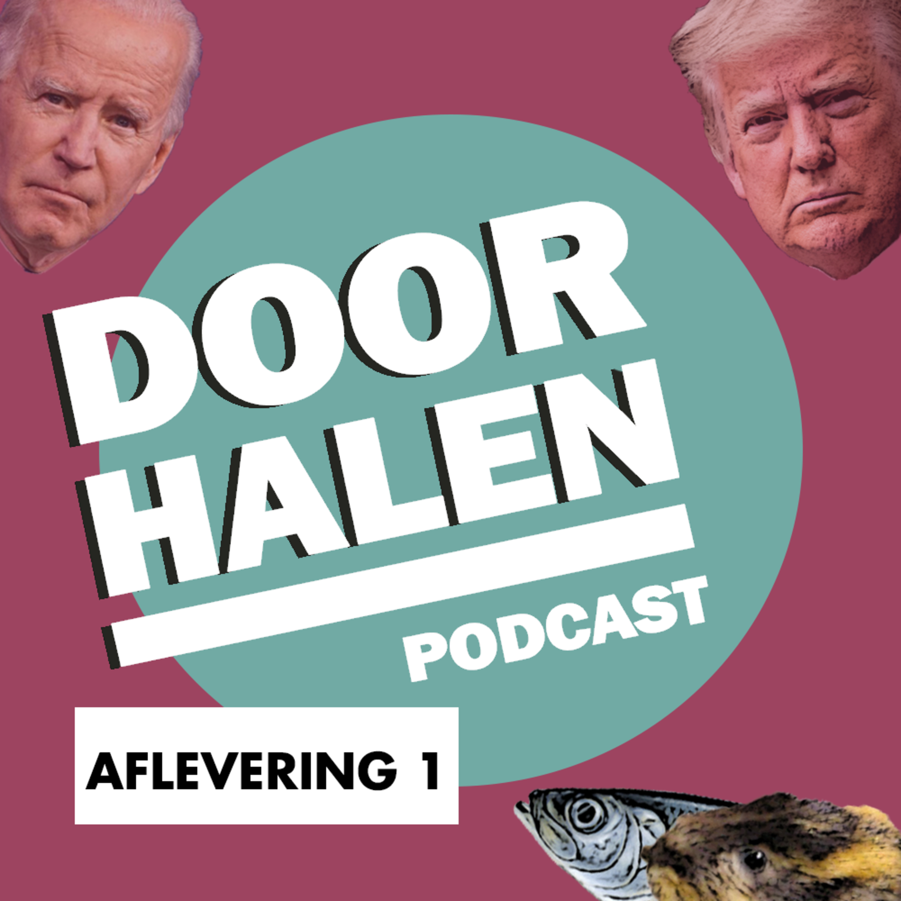 Doorhalen