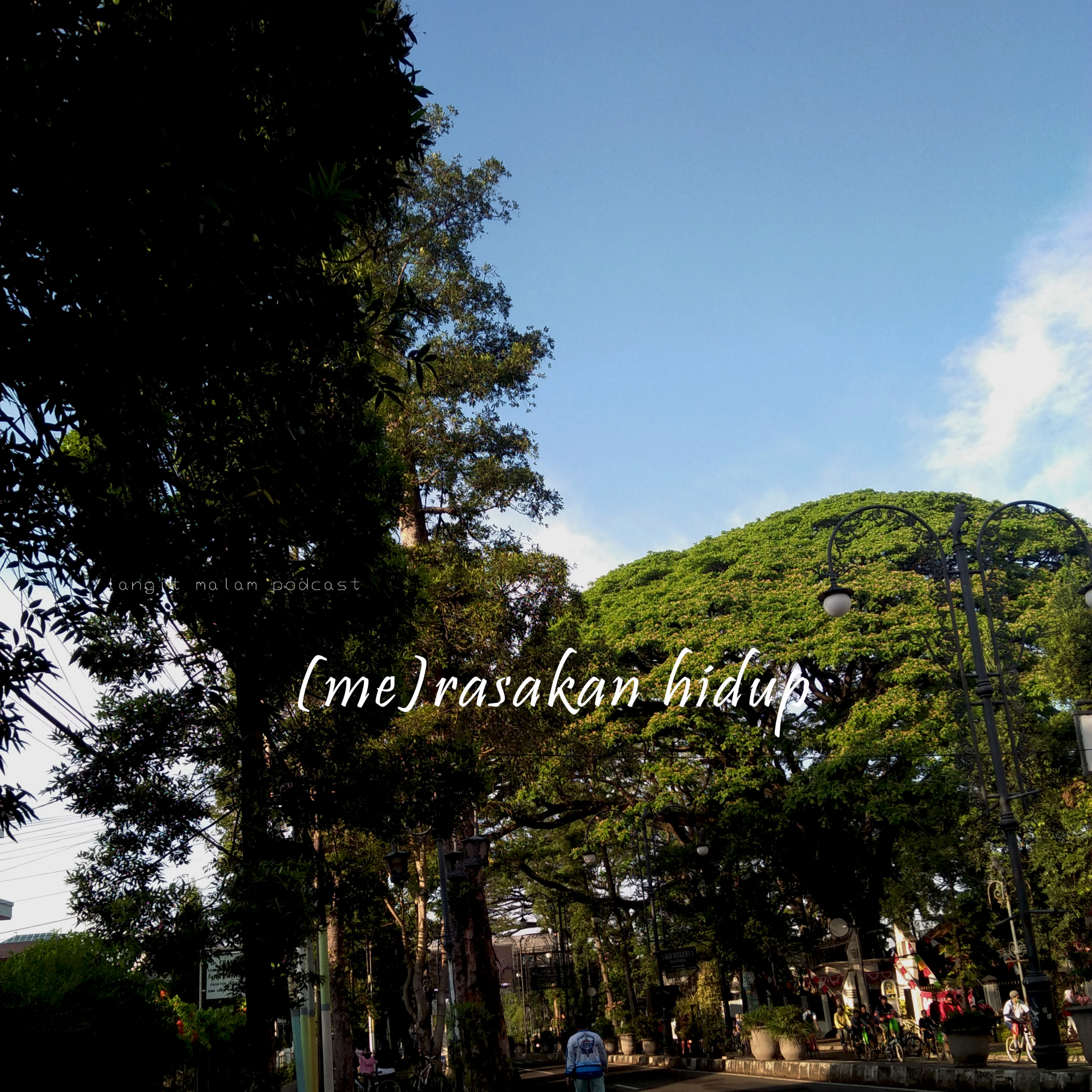 Langit Malam