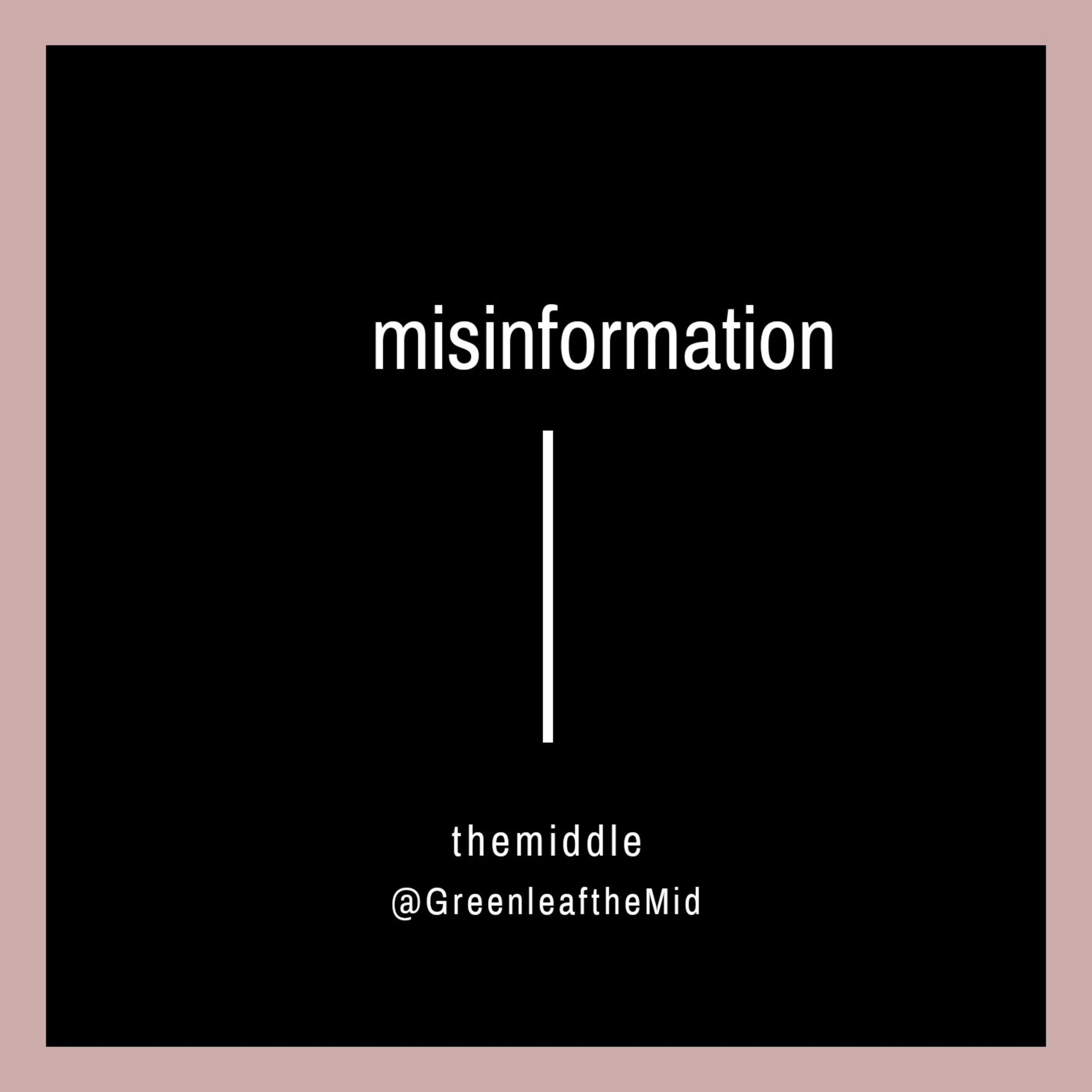 S01E03 - Misinformation episode artwork