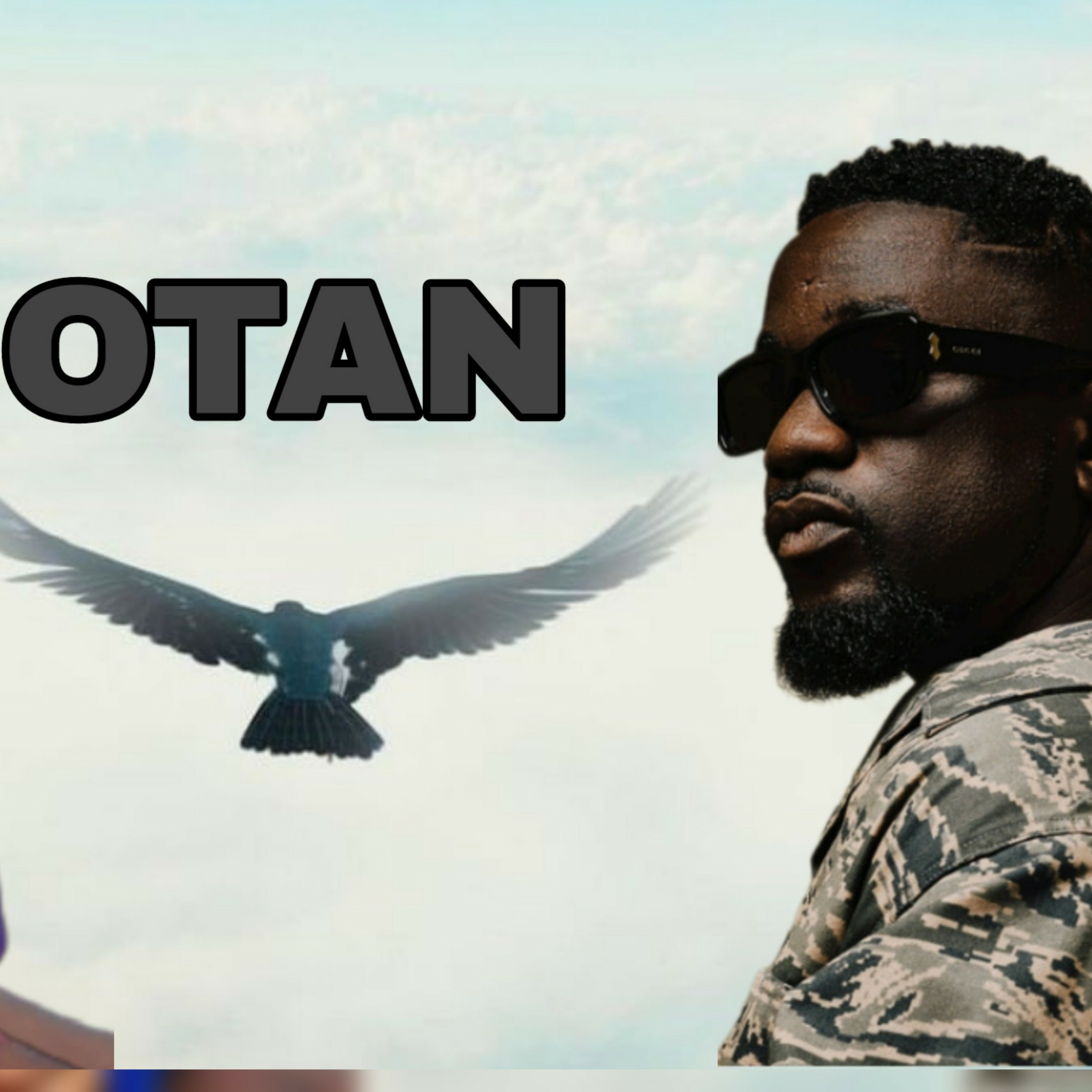 Sarkodie_Otan ( Song Appreciation Video) Song Of The Year ?🤔 episode artwork