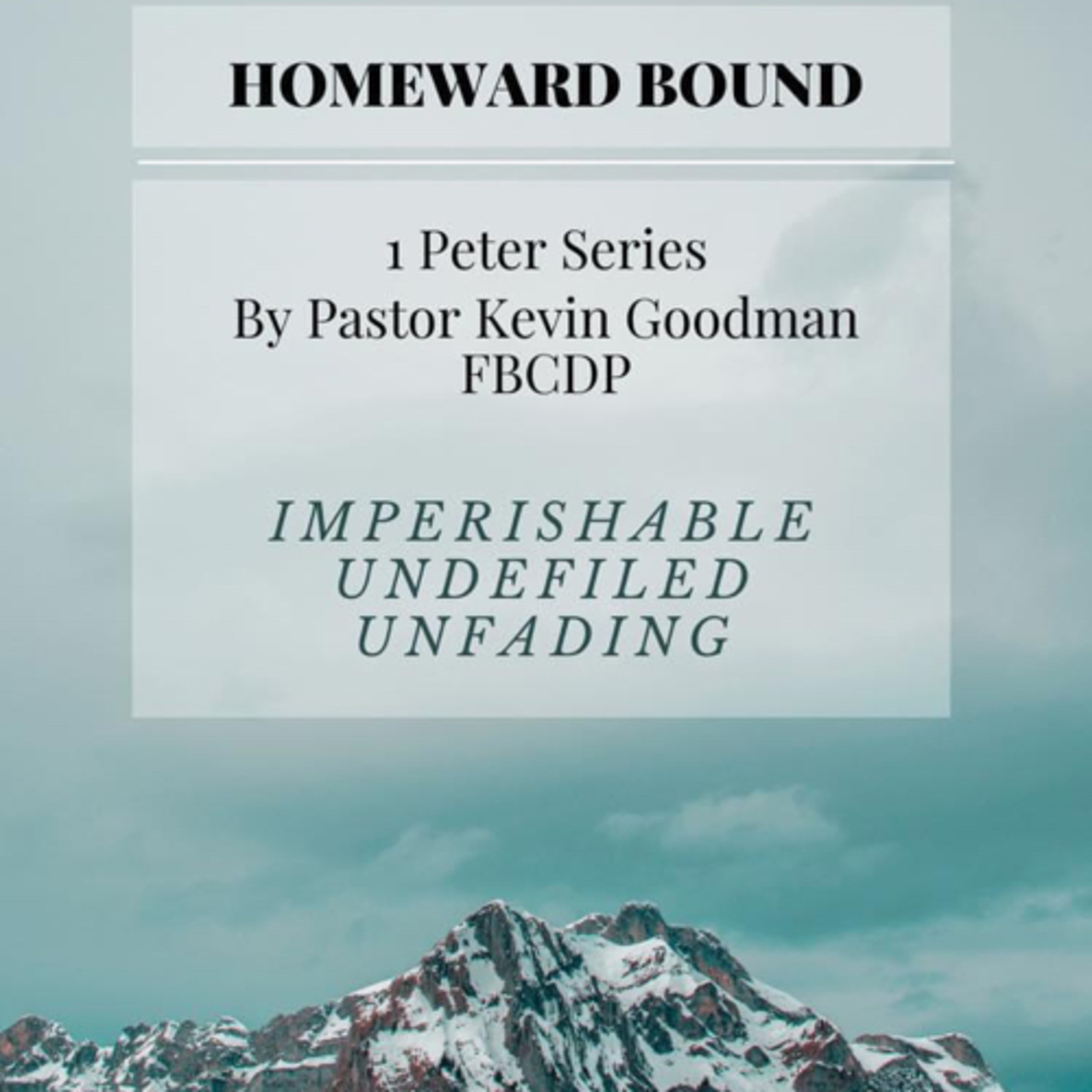 Navigating the journey. 1 Peter 1:13-2:3 episode artwork