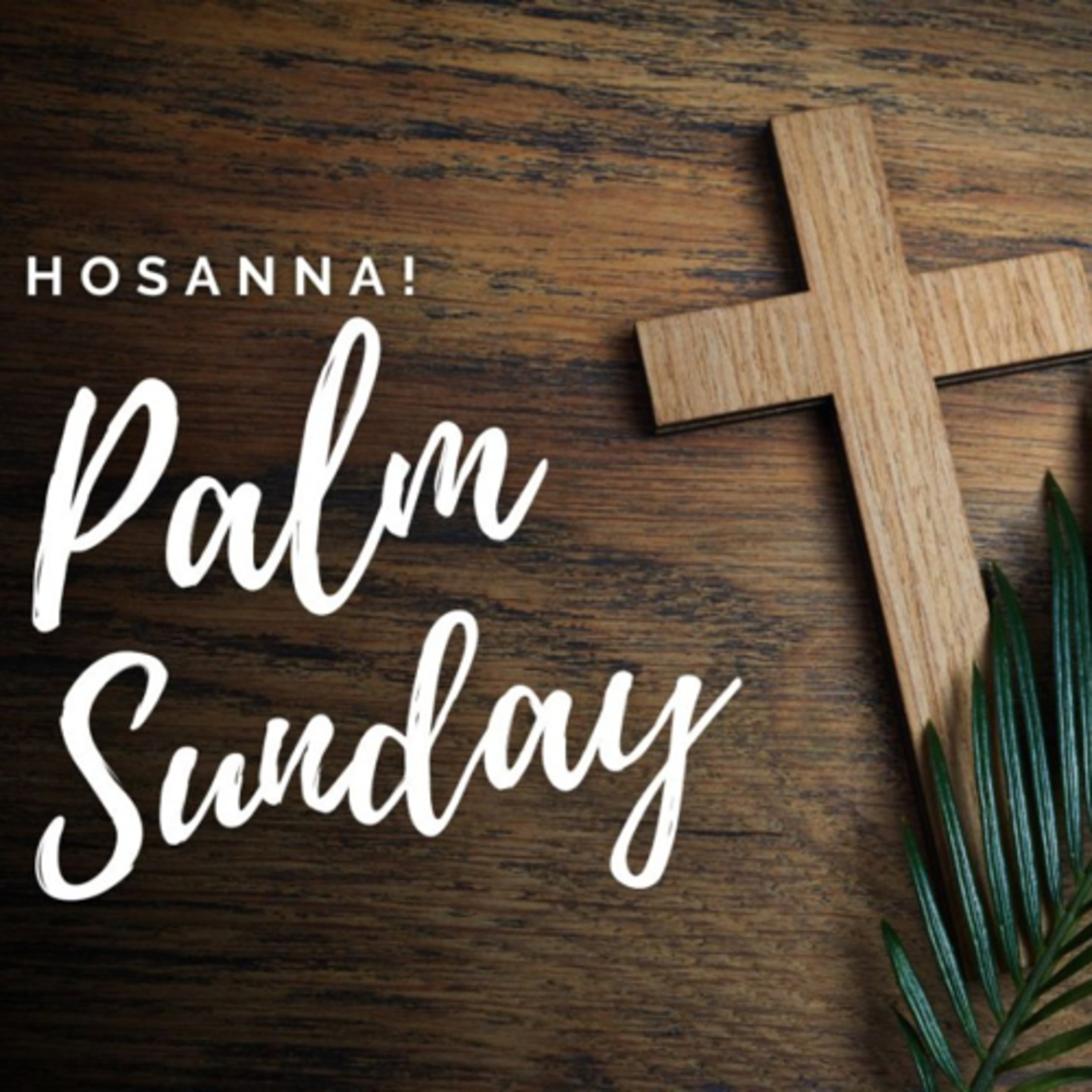 Palm Sunday 2024.  episode artwork