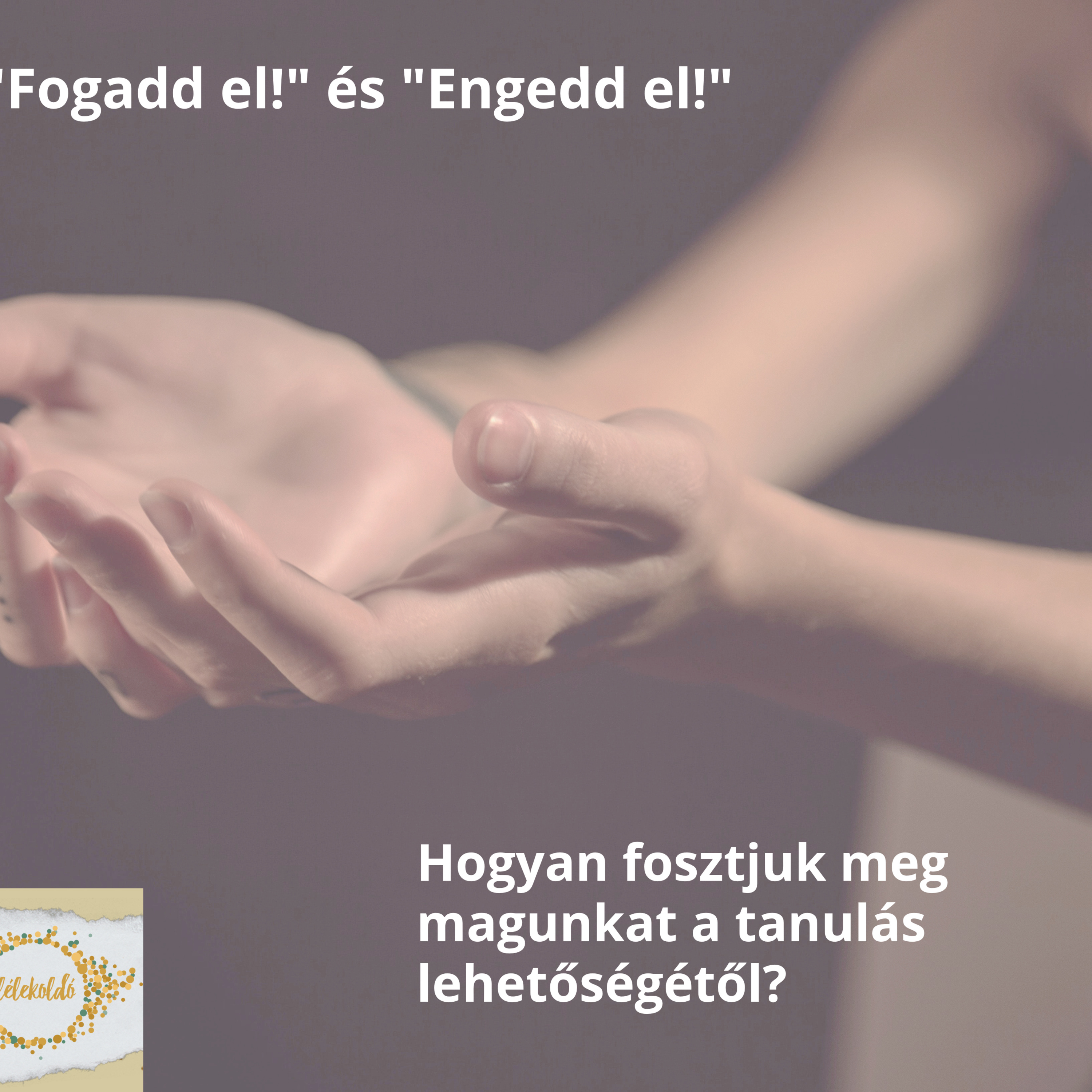 Lélekfecnik - Lélekoldó beszélgetések