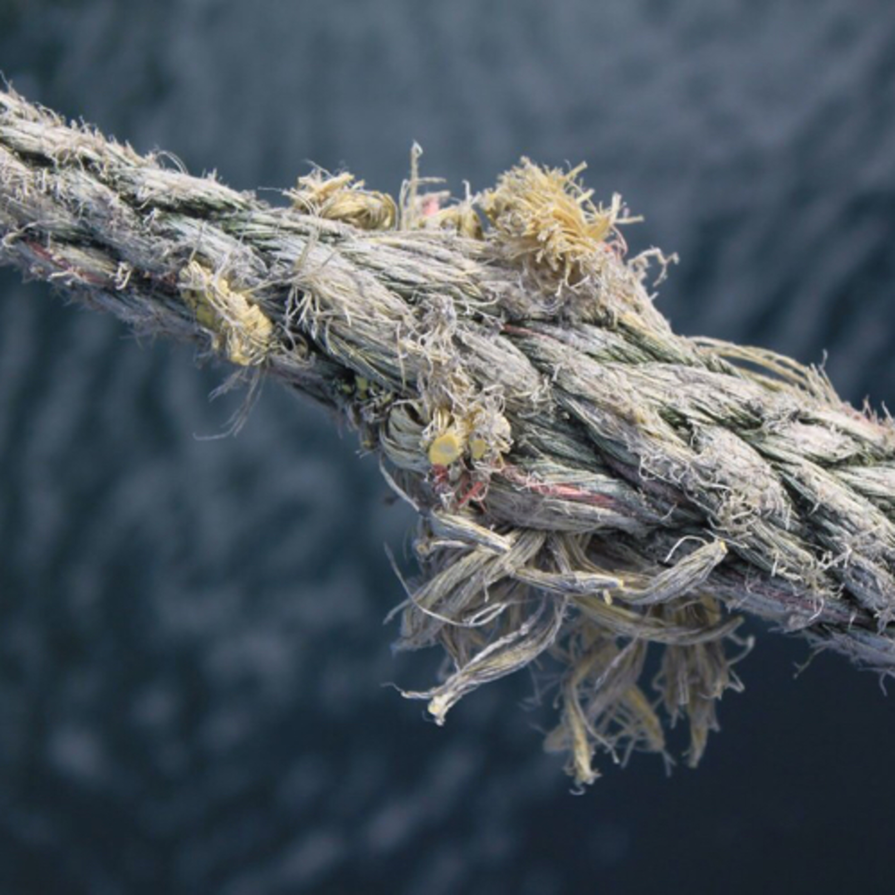 The FMC Radio Show-- Your Officially Unofficial Source for All Things Free Methodist