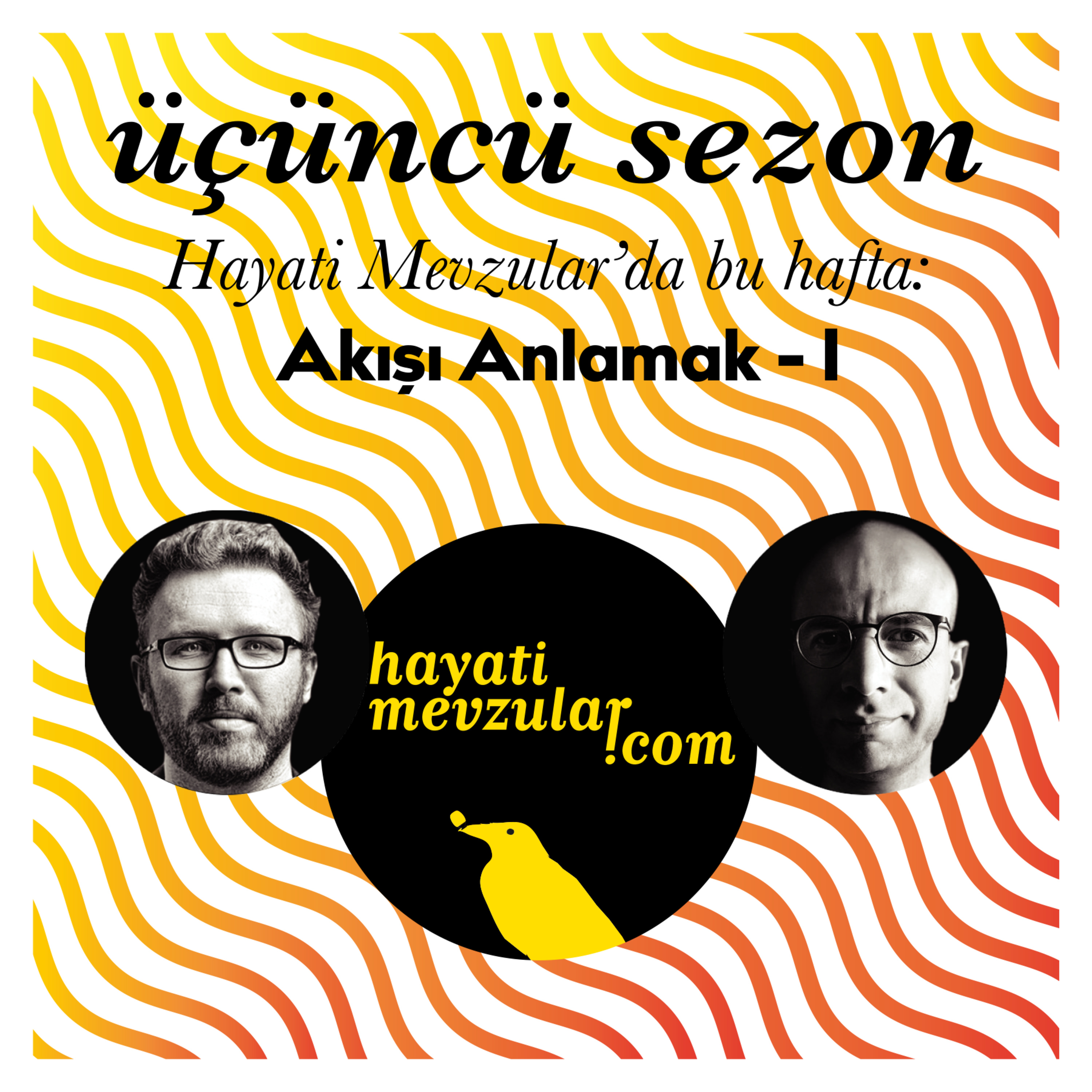 Hayati Mevzular