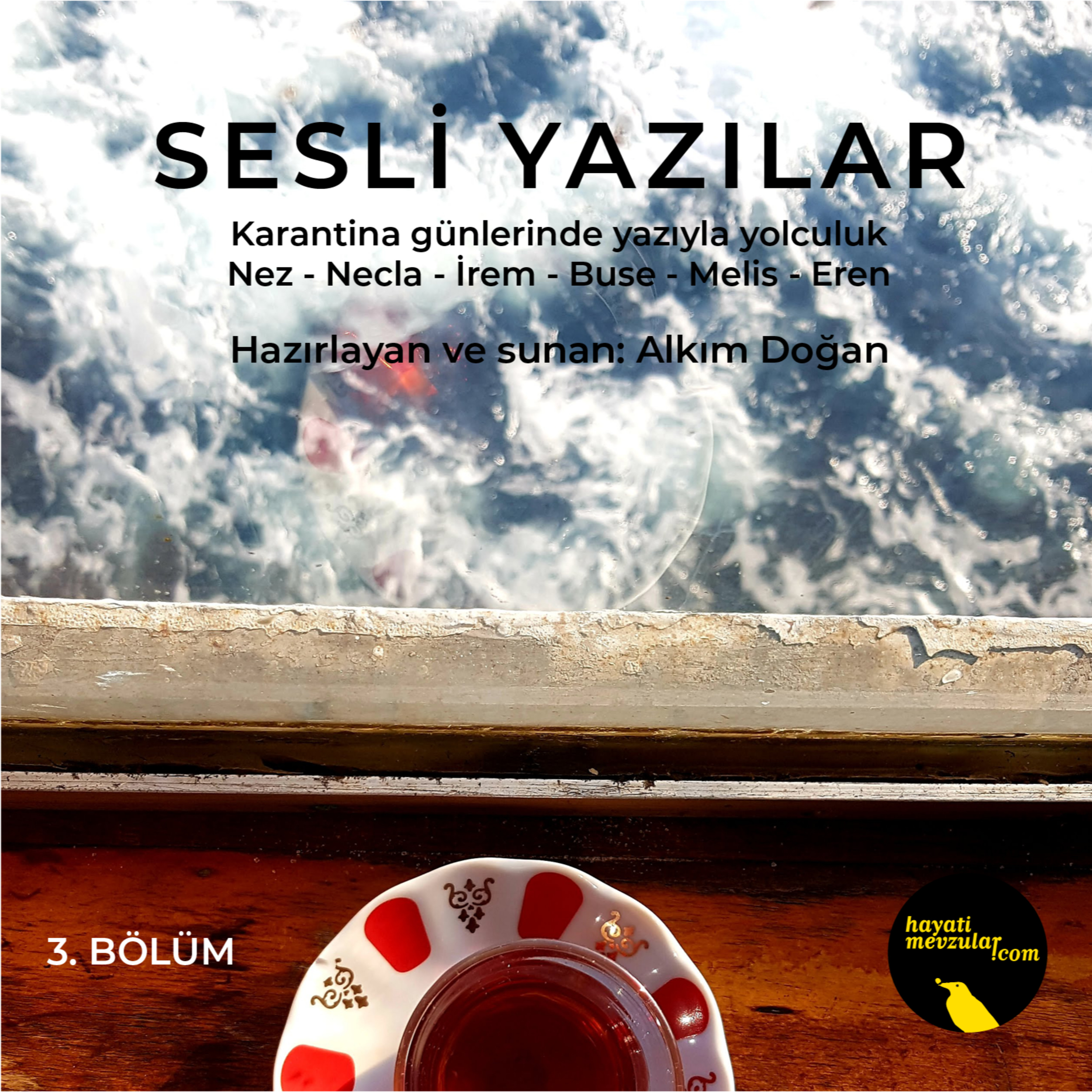 Hayati Mevzular