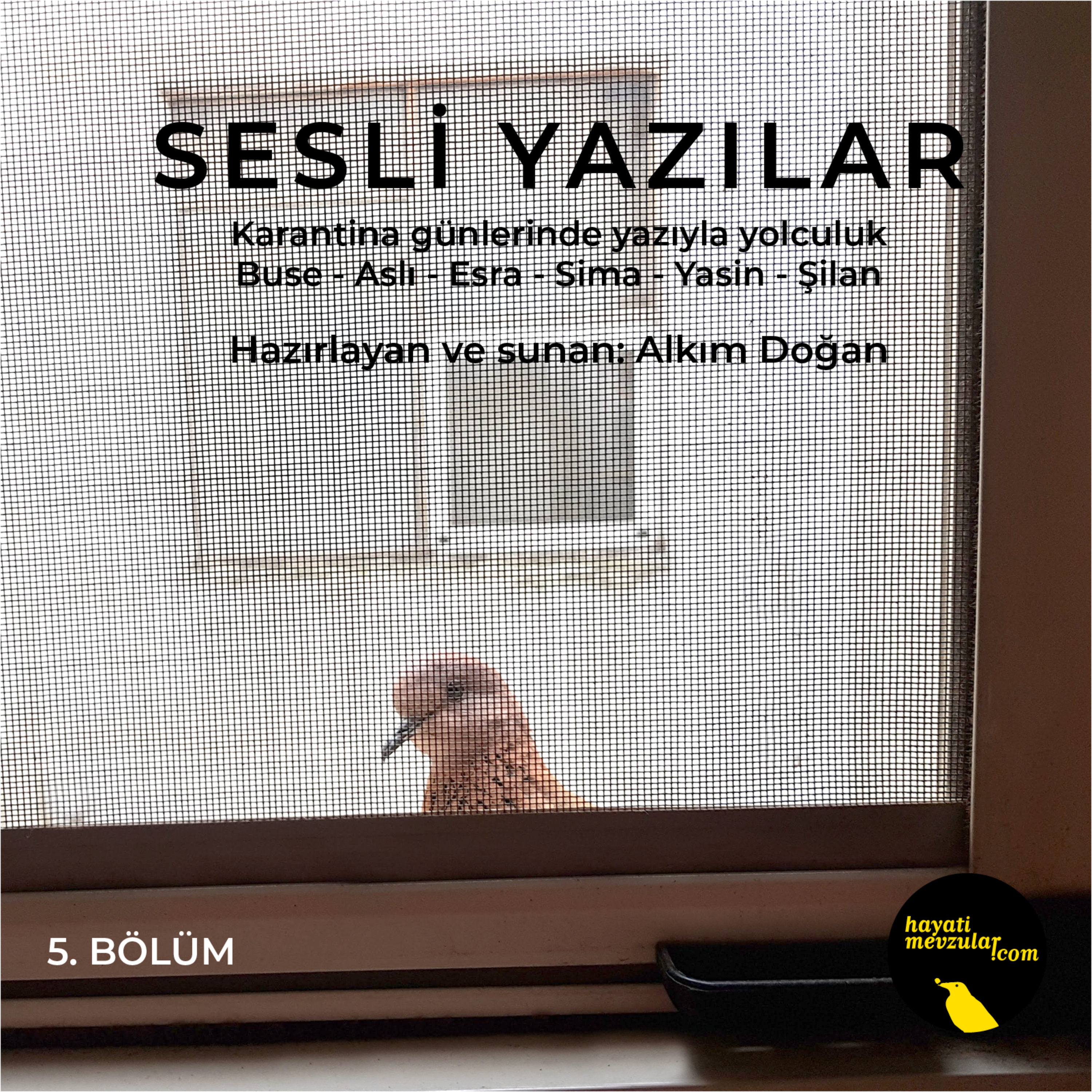 Hayati Mevzular