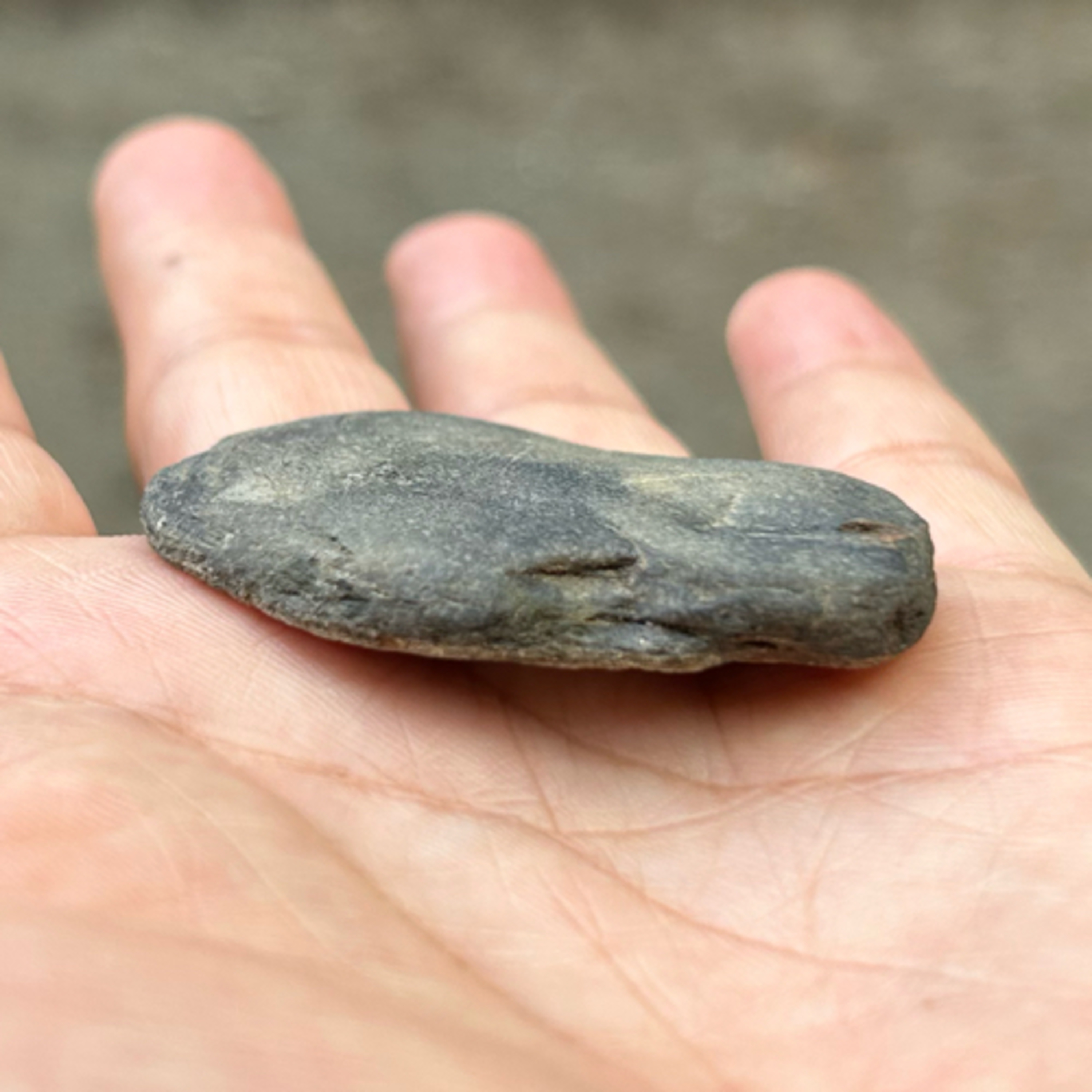 教わらないからこそ、学びの世界はどんどん広がる