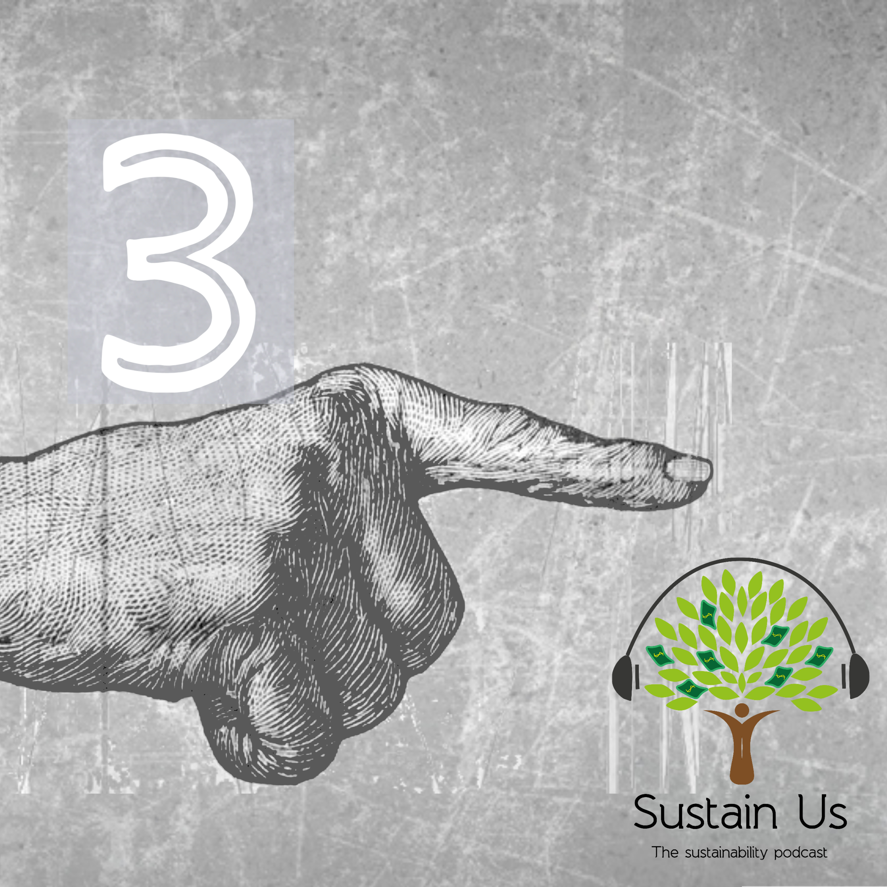 That way – Should we nudge for sustainability? episode artwork