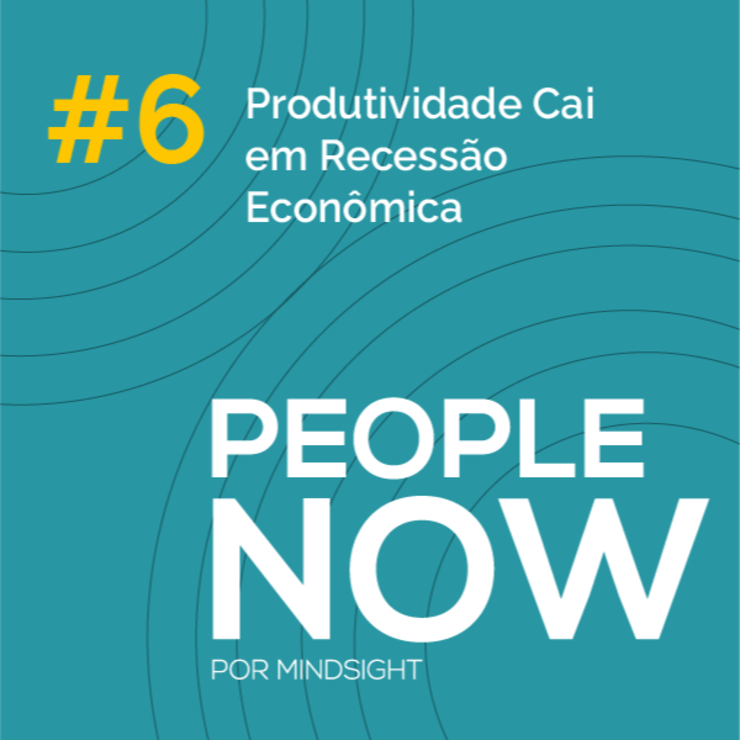 Produtividade Cai em Recessão Econômica - People Now #06