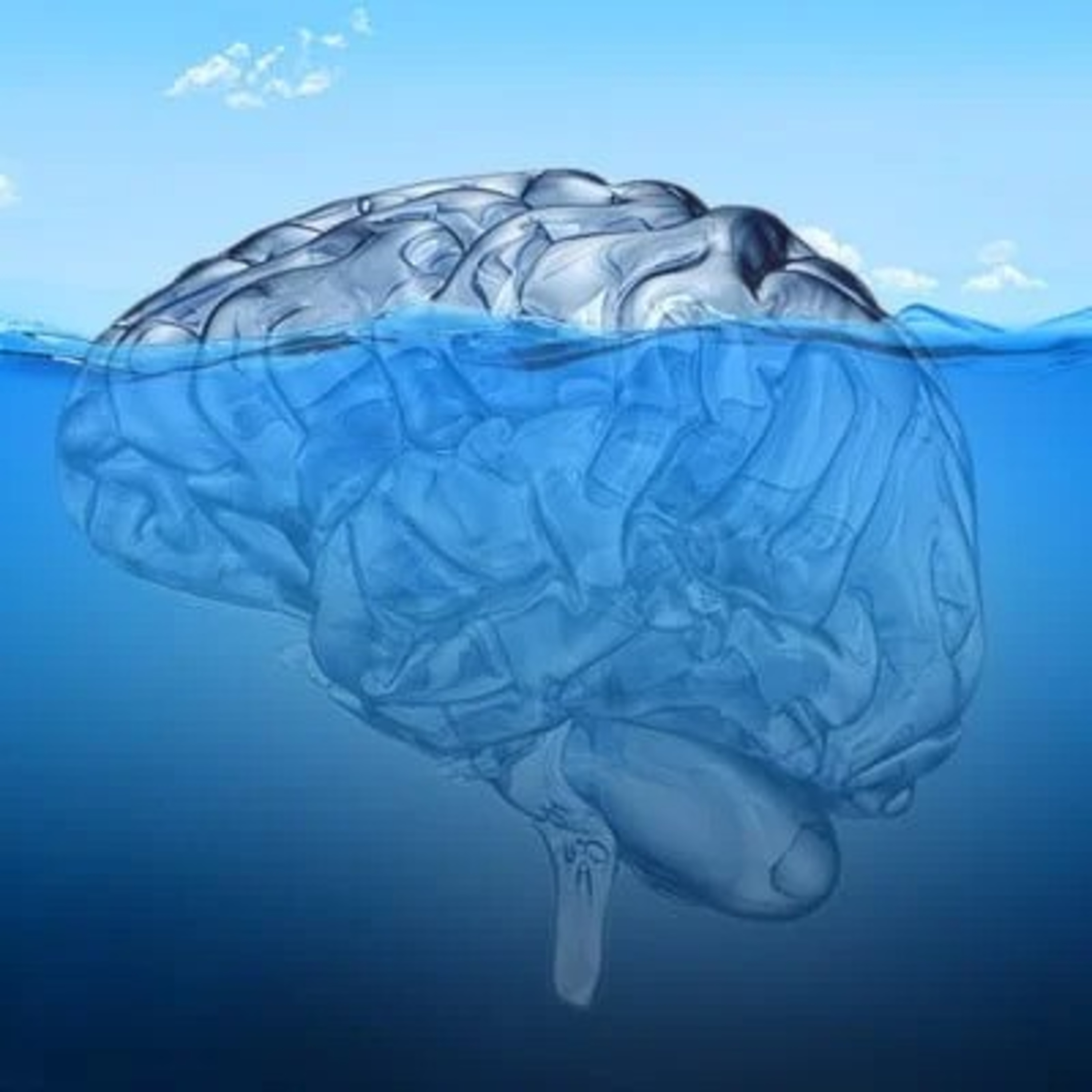neuroFM