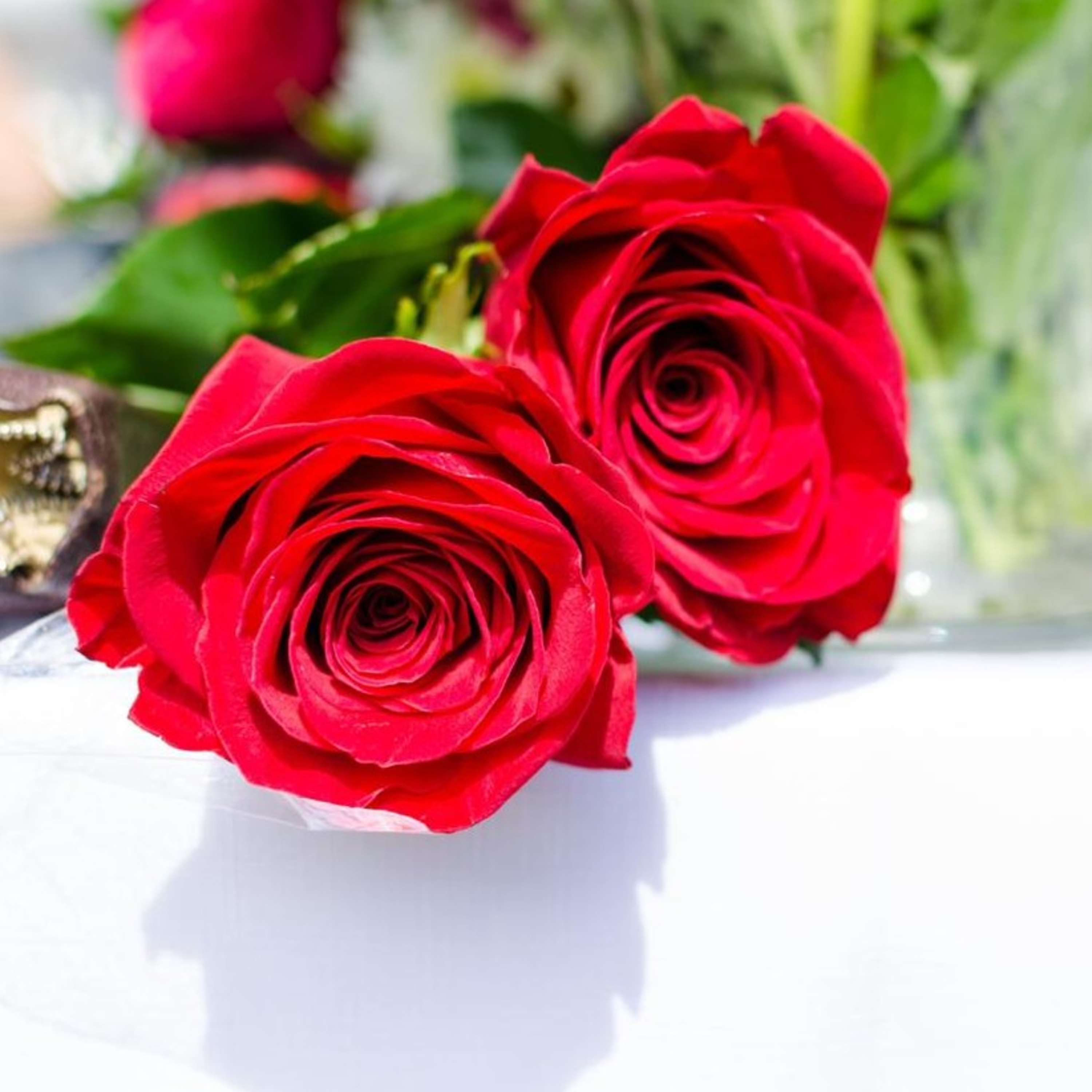 Sharma Ji Chhattisgarhiya