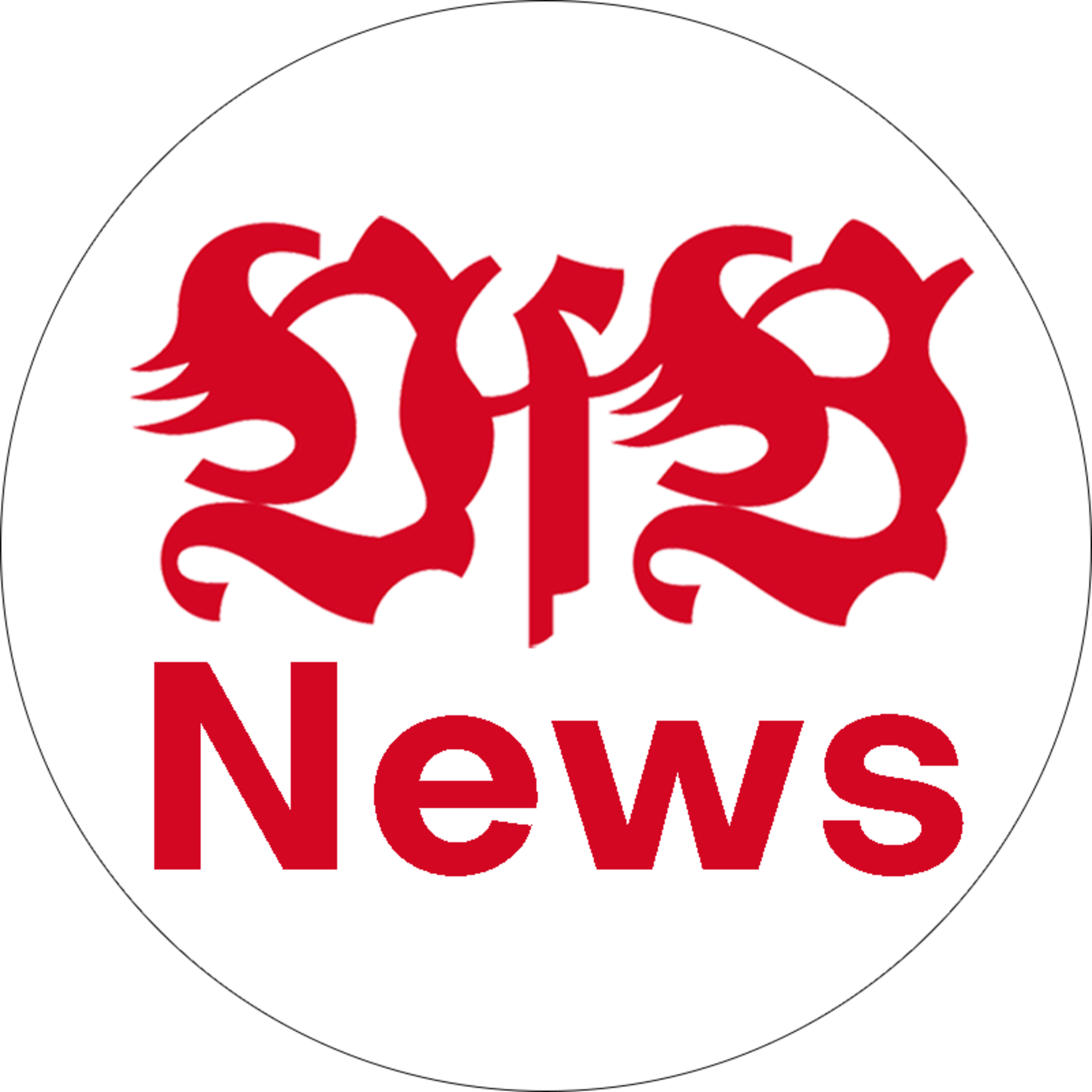 Richtung Klassenerhalt | VfB News #2 episode artwork