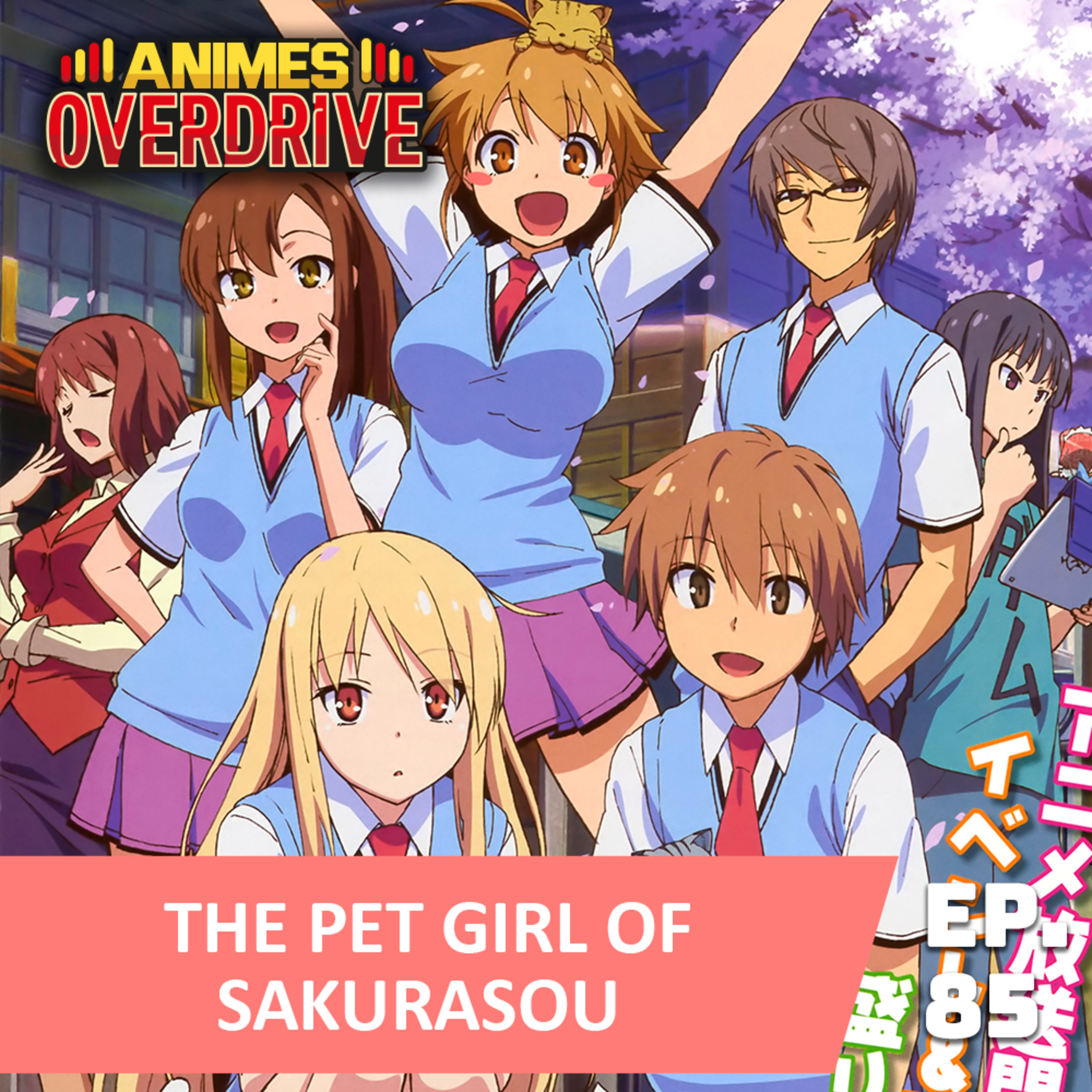 Animes Overdrive