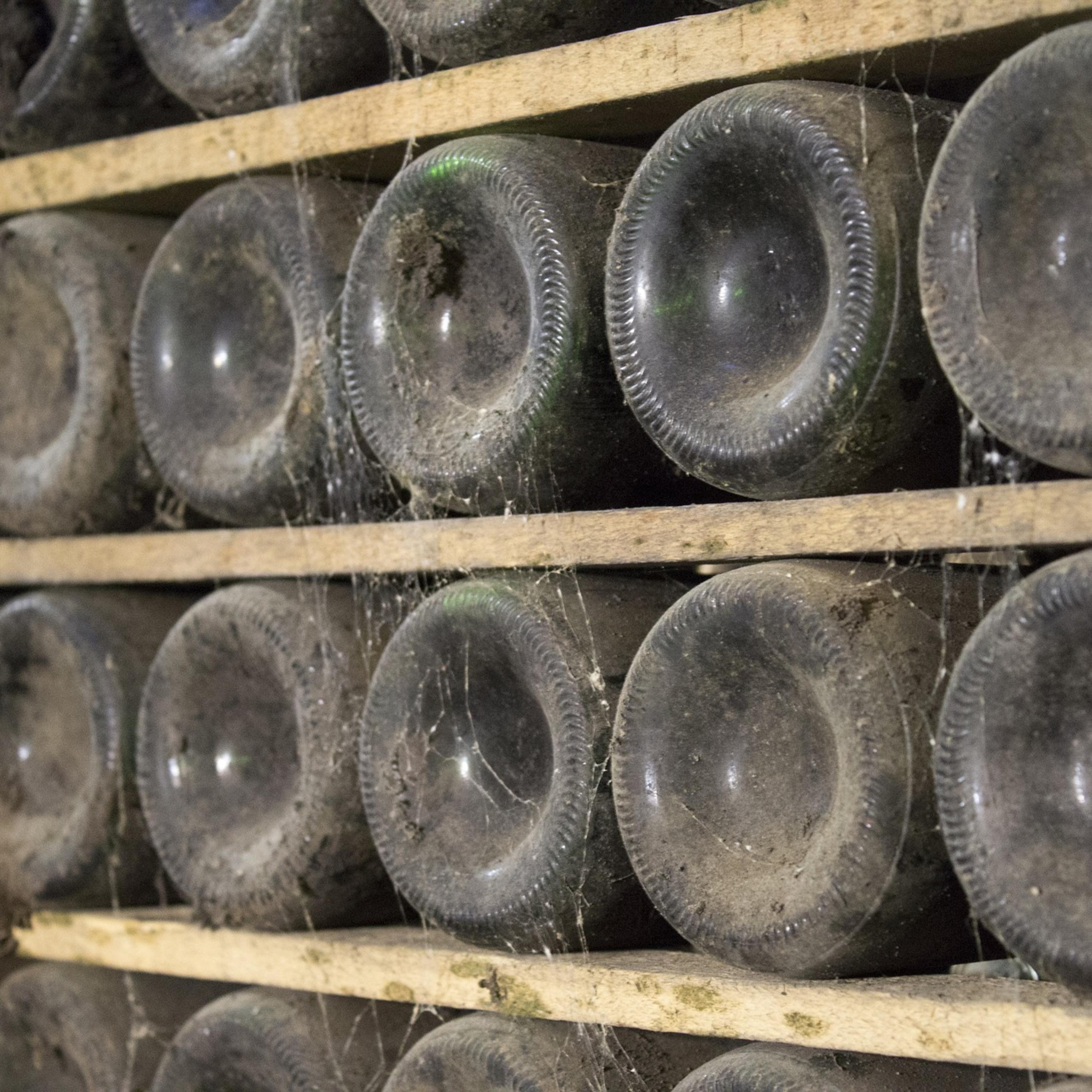 Volta ao Mundo do Vinho: Confira detalhes da região de Rioja