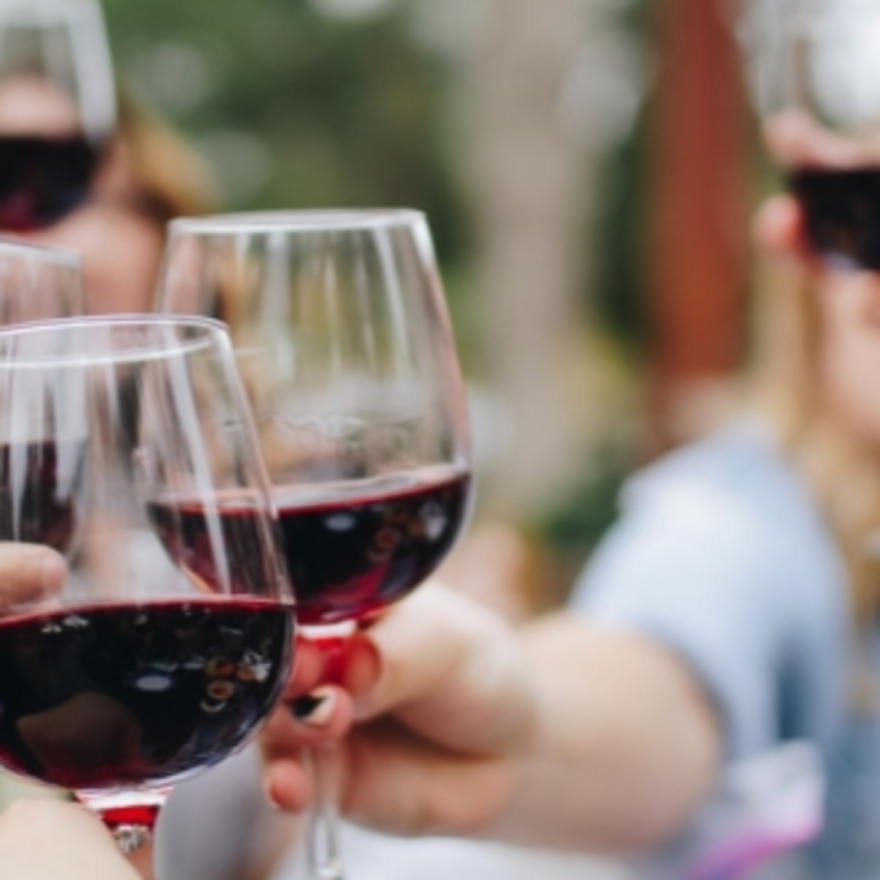 Tire suas principais dúvidas sobre o mundo do vinho