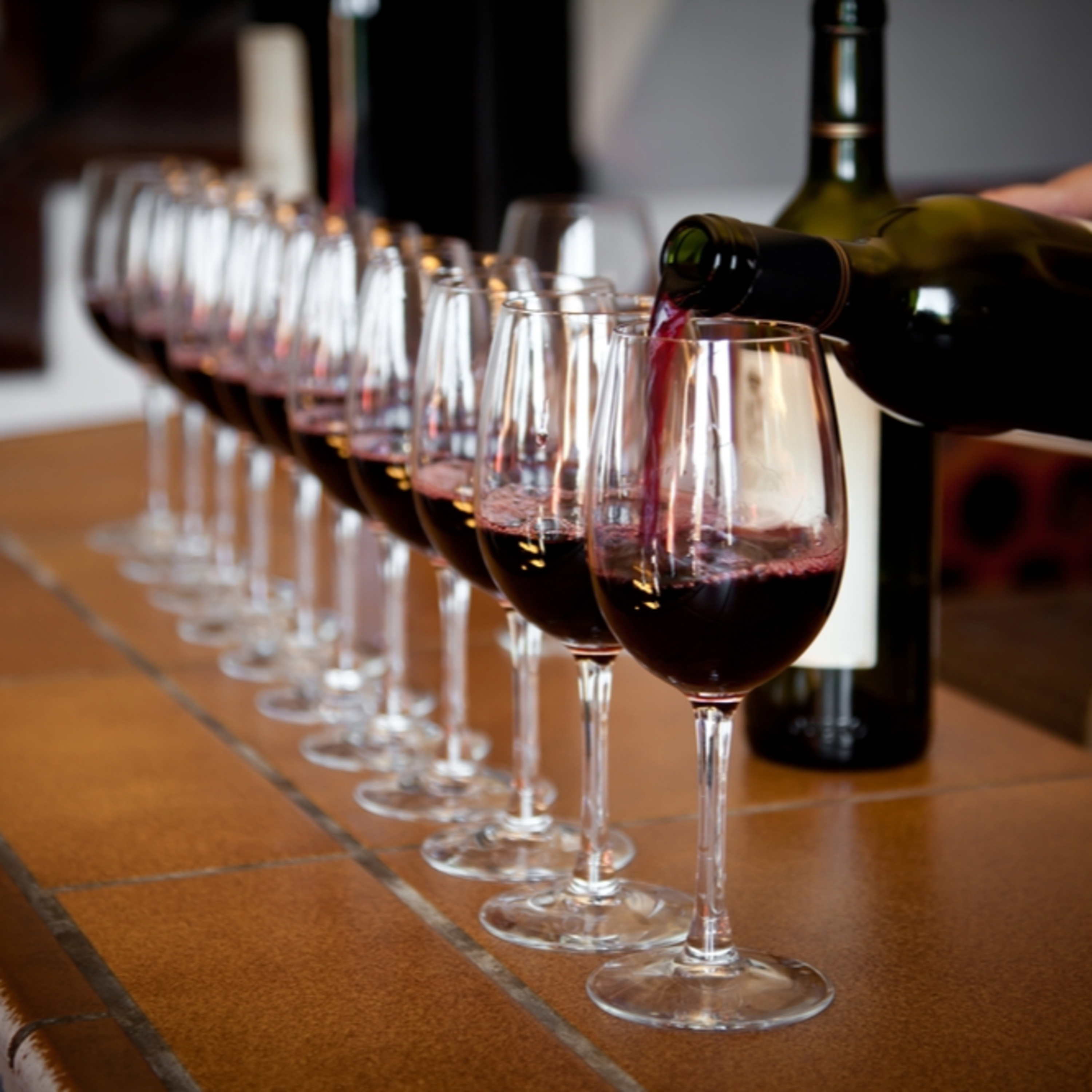 Dia de tira-dúvidas: as dicas de vinhos para iniciantes