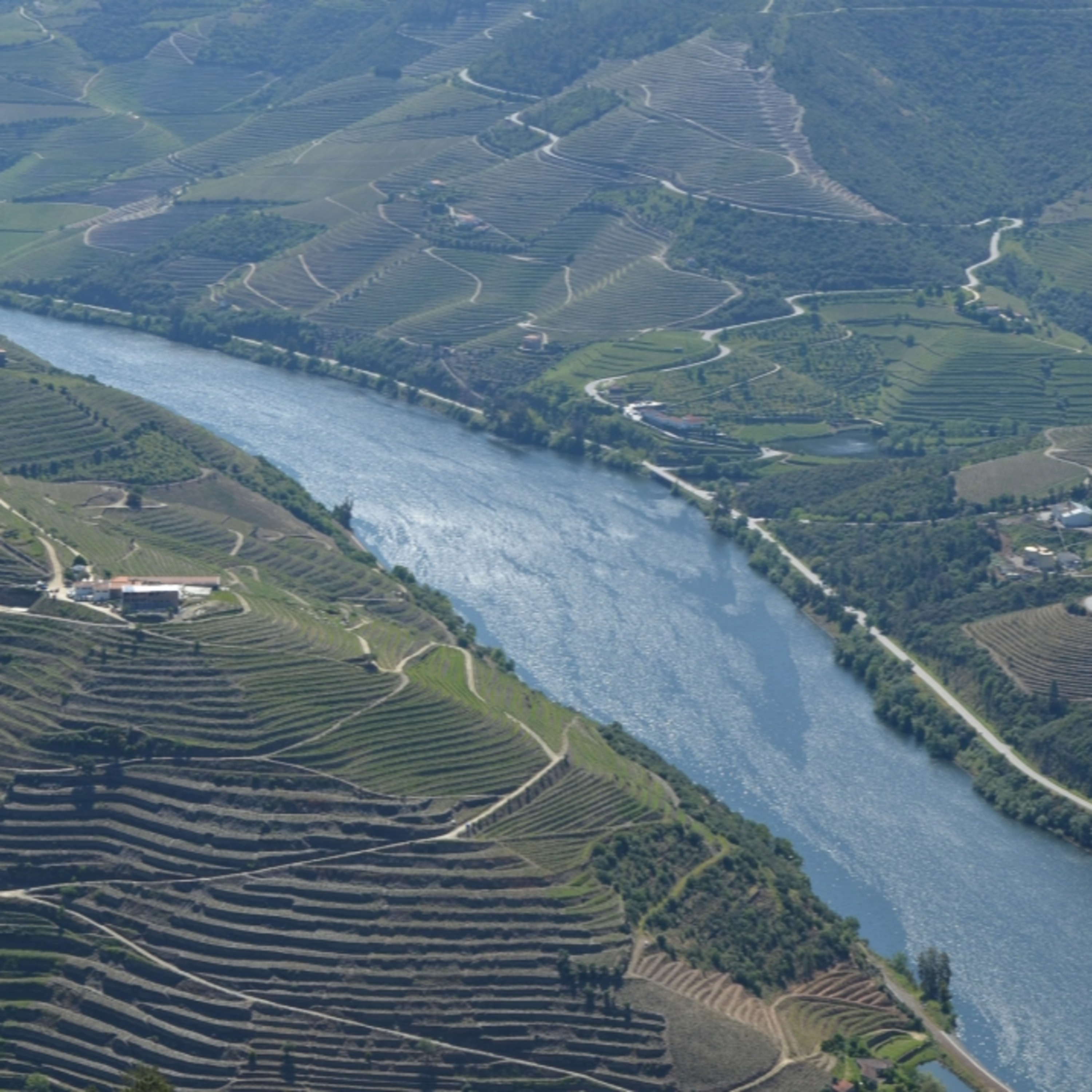 Tudo o que você precisa saber sobre os vinhos do Porto