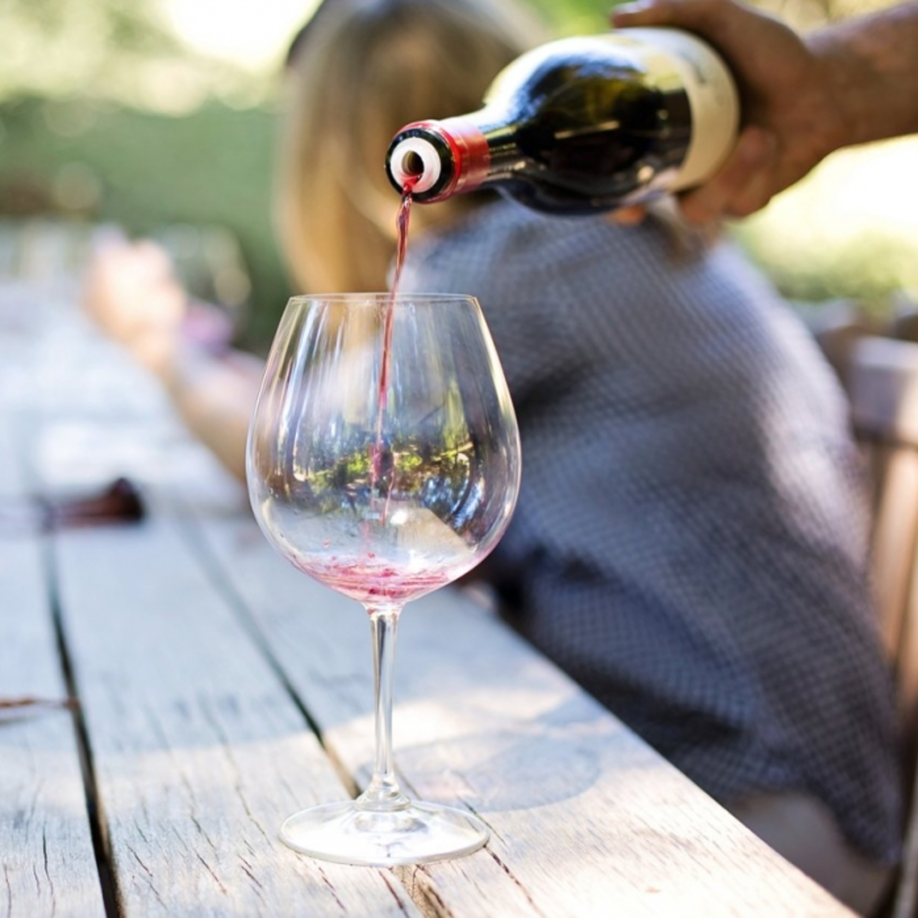 Rainha das uvas tintas: saiba tudo sobre a Cabernet Sauvignon