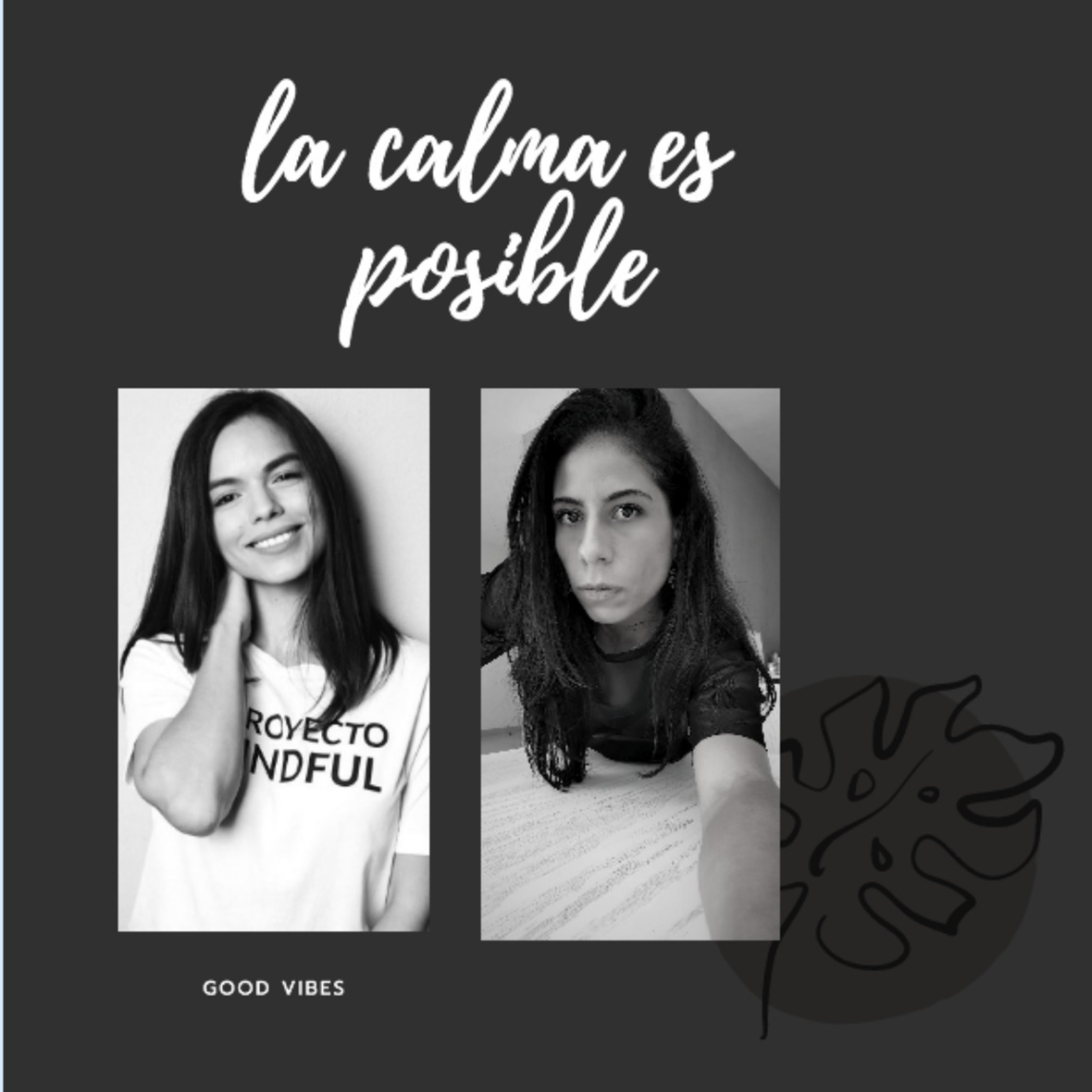 DE QUE SE PUEDE SE PUEDE